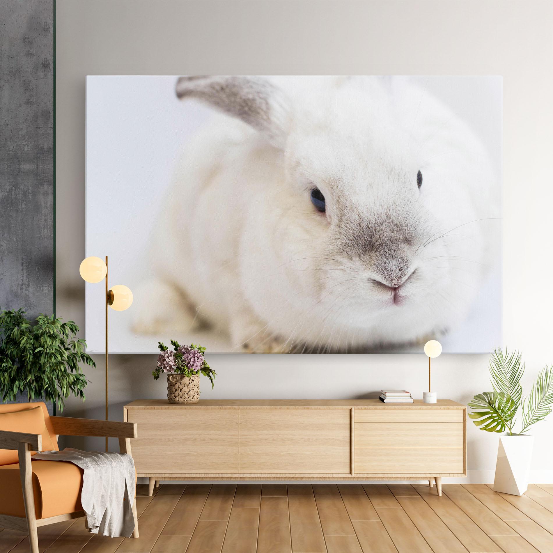 Leinwandbild Light Grey Bunny mockup 9