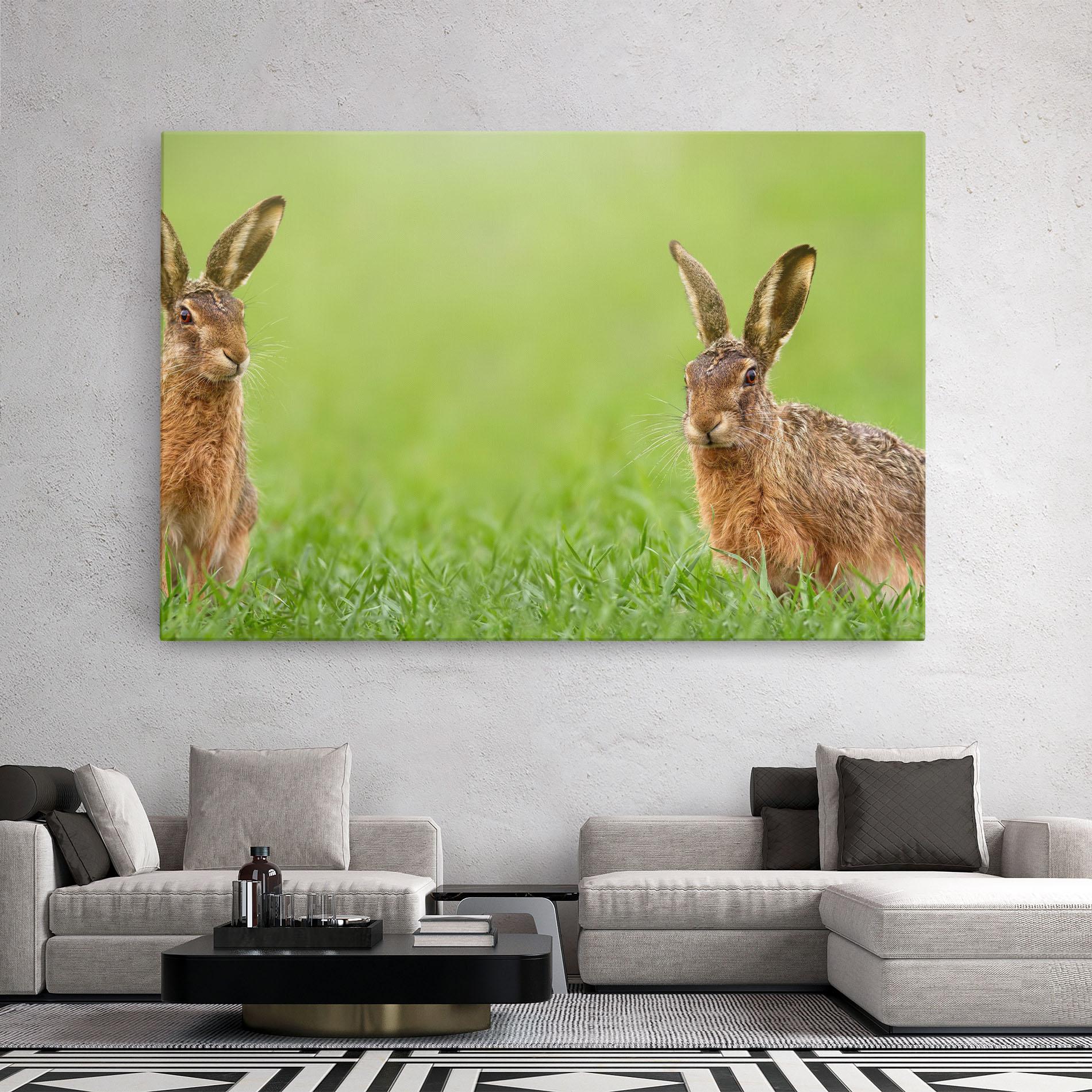 Leinwandbild Brown Hares mockup 2