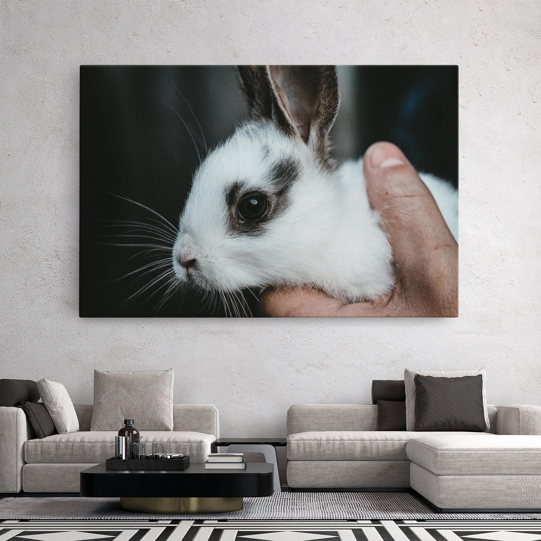 Leinwandbild Holding Cute Bunny mockup 2