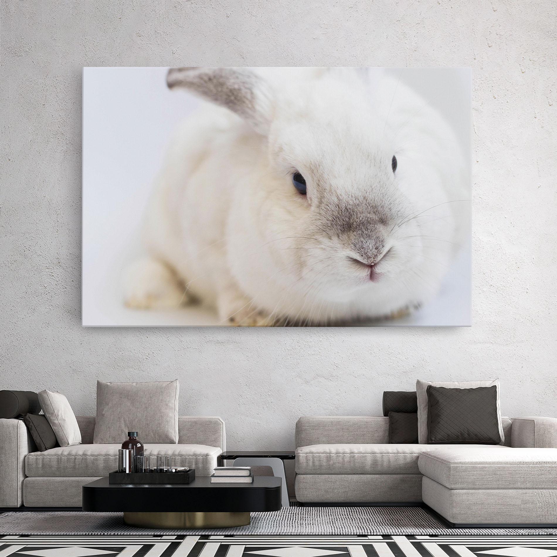 Leinwandbild Light Grey Bunny mockup 2