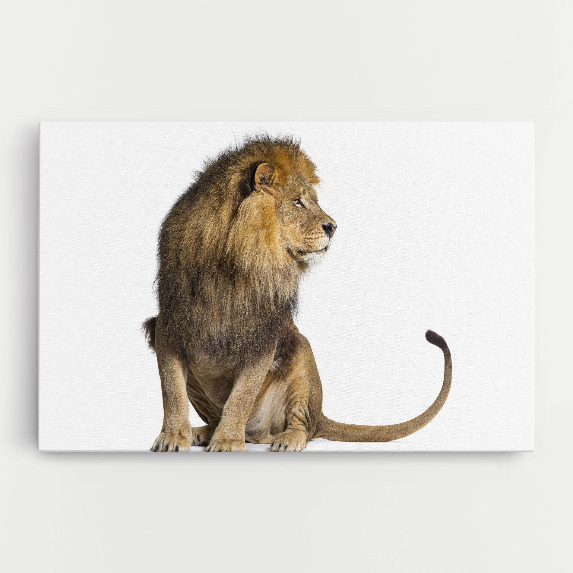 Leinwandbild Big Lion mockup 0