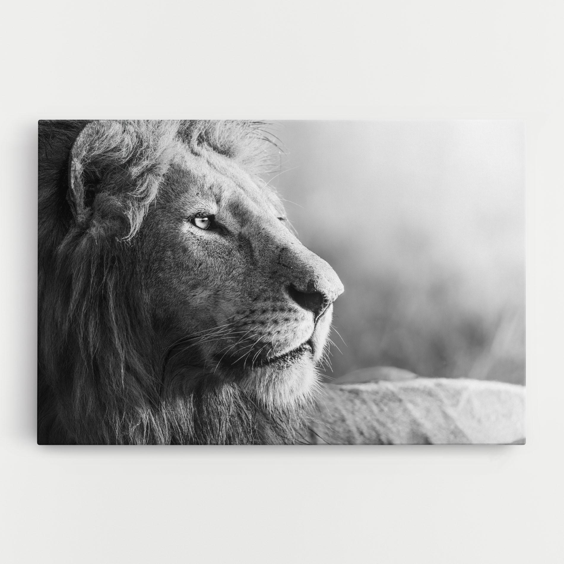 Leinwandbild Grey Lion Head mockup 0