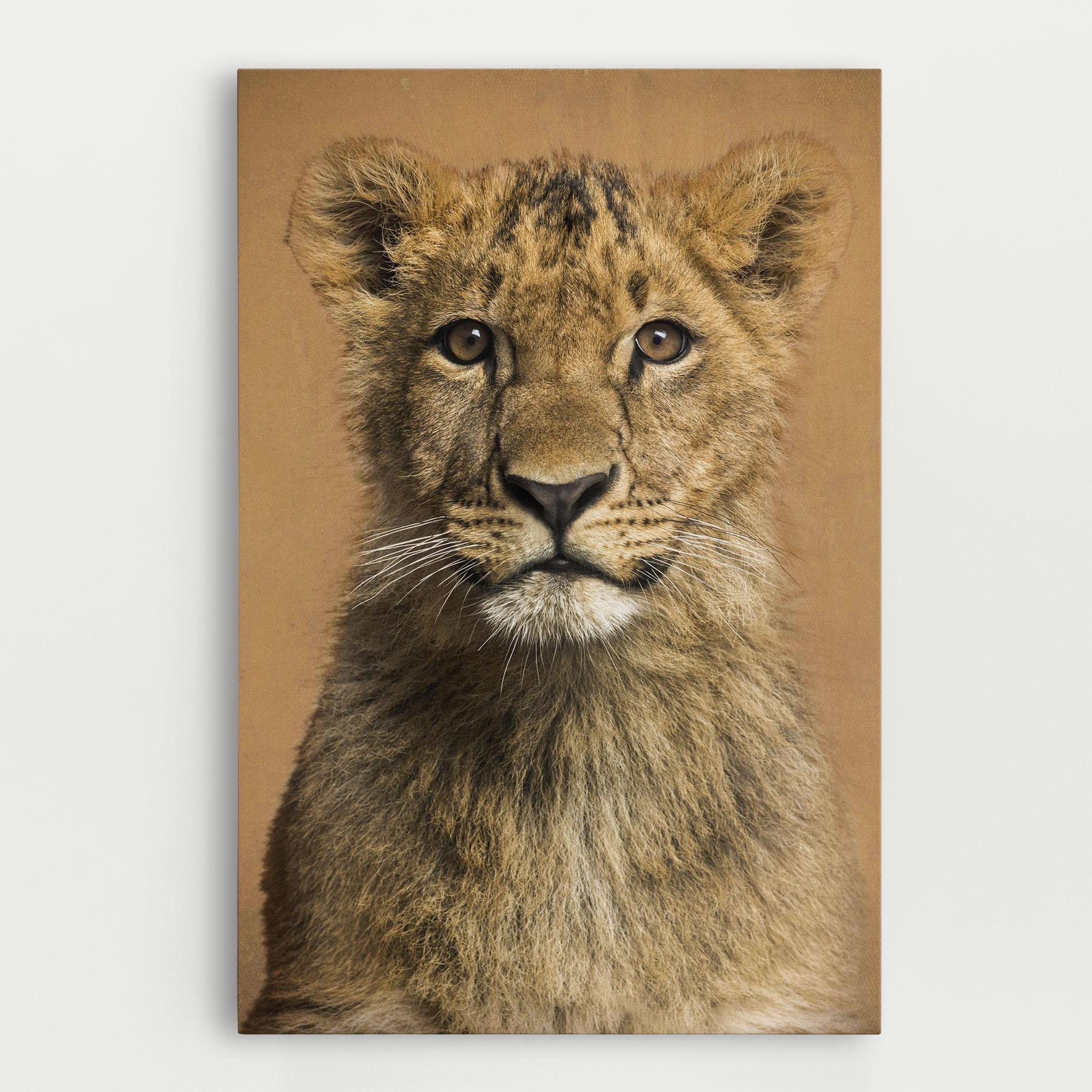 Leinwandbild Baby Lion mockup 0