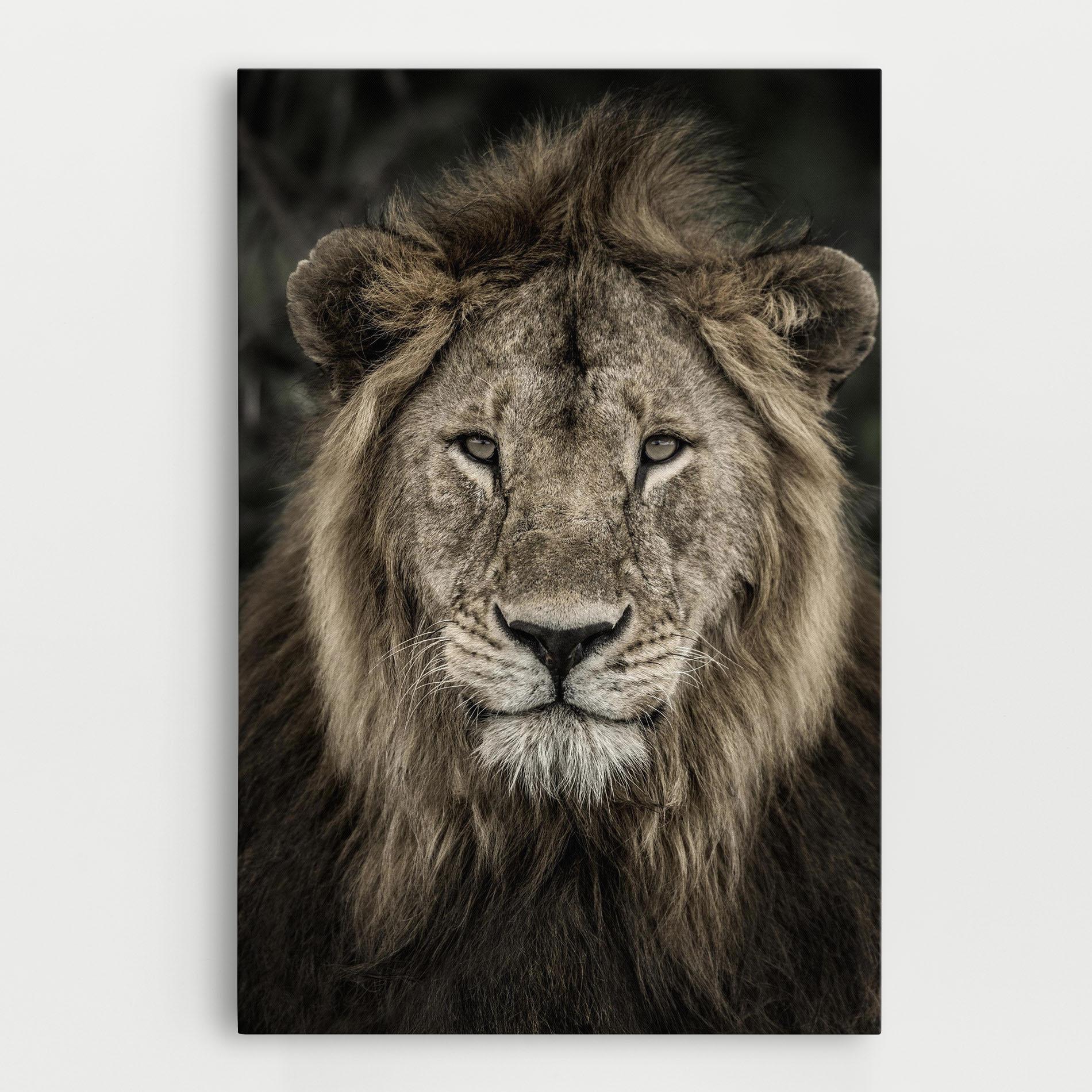 Leinwandbild Lion Close Up mockup 0