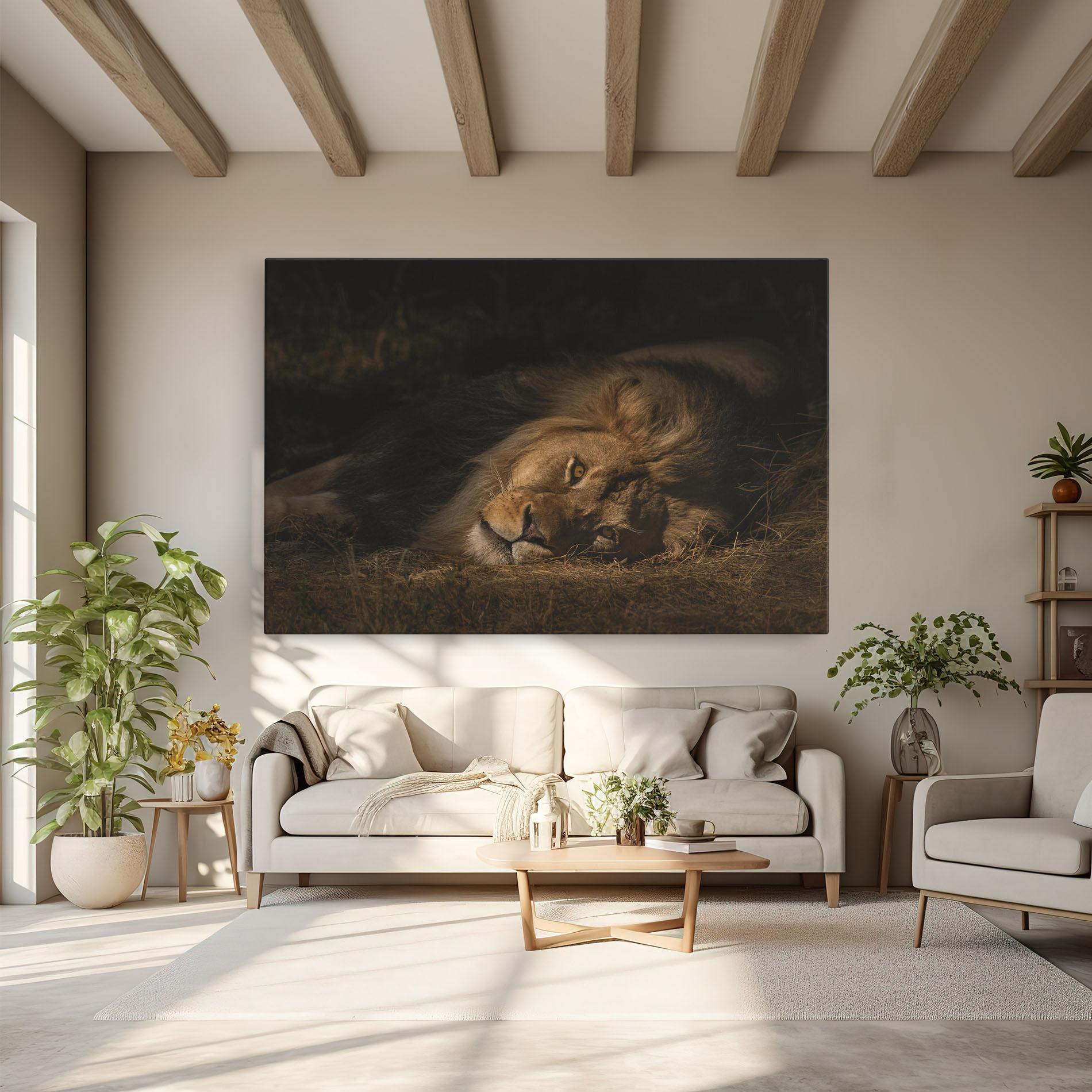Leinwandbild Lion Laying Down mockup 6