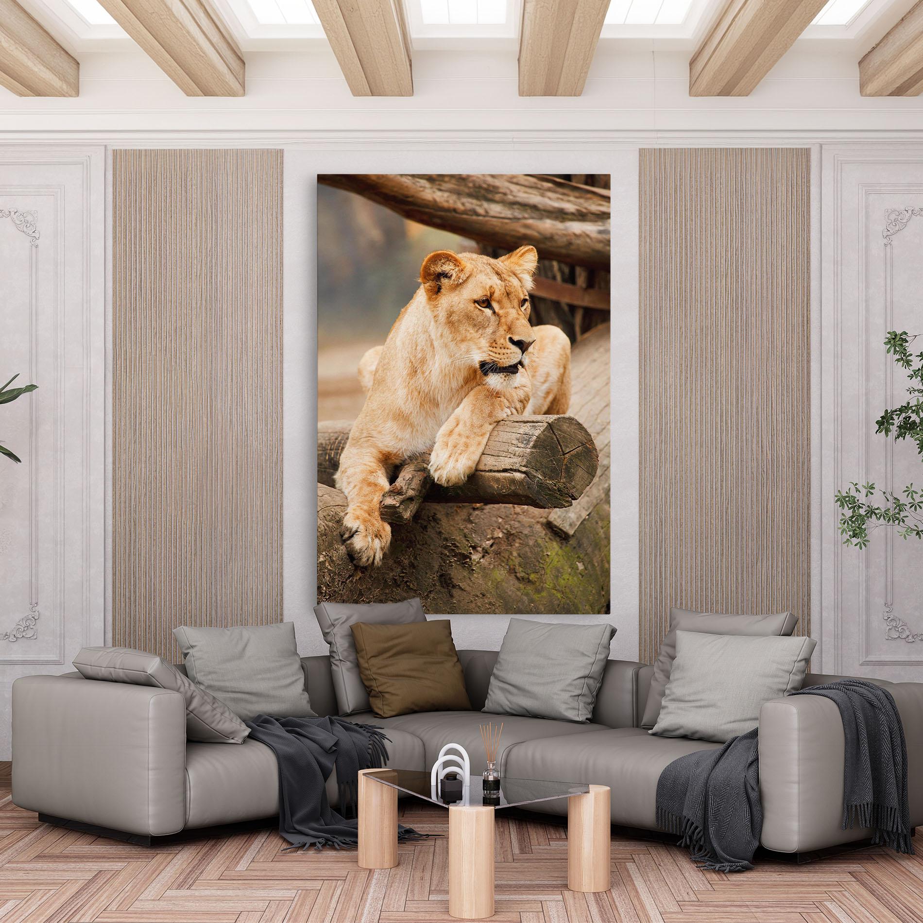 Leinwandbild Female Lion Sitting mockup 6