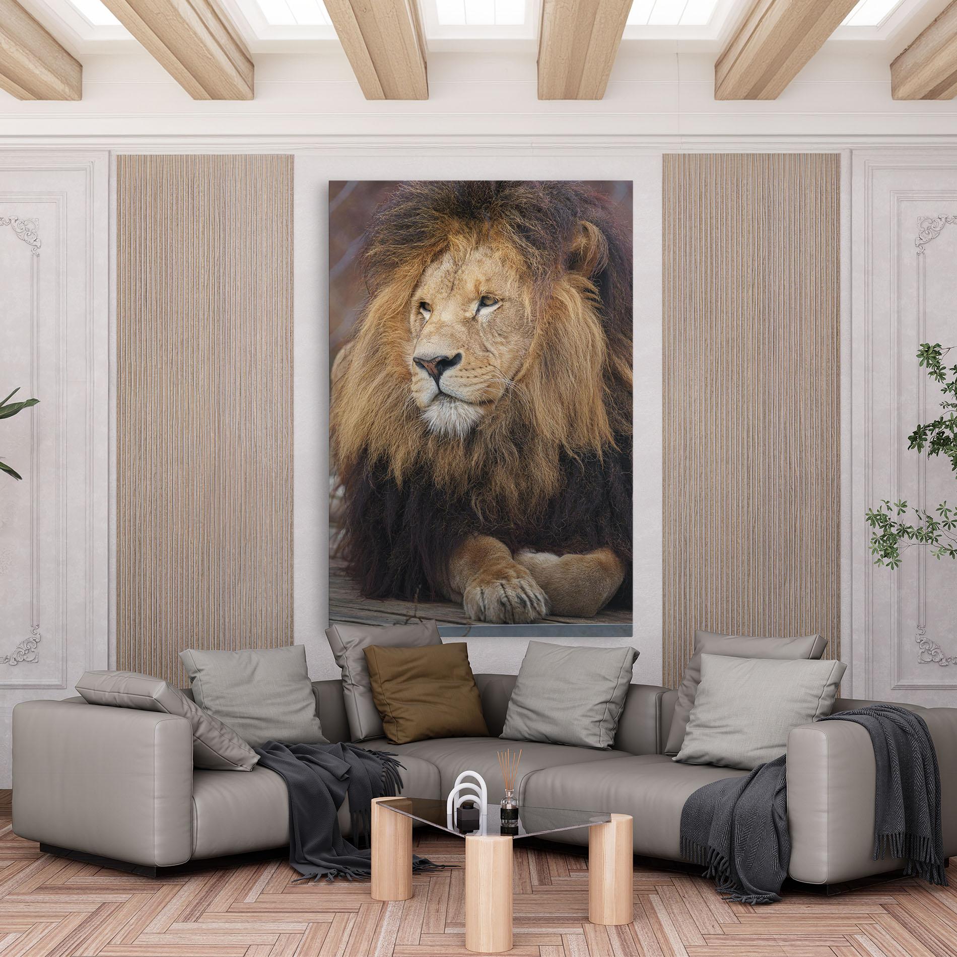 Leinwandbild Lion Chilling mockup 6