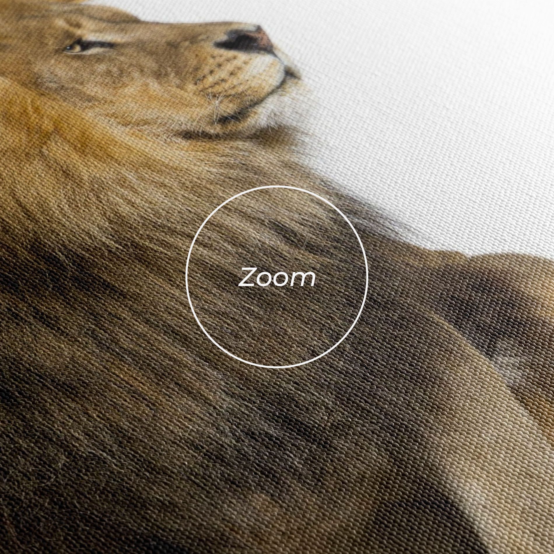 Big Lion mockup 3
