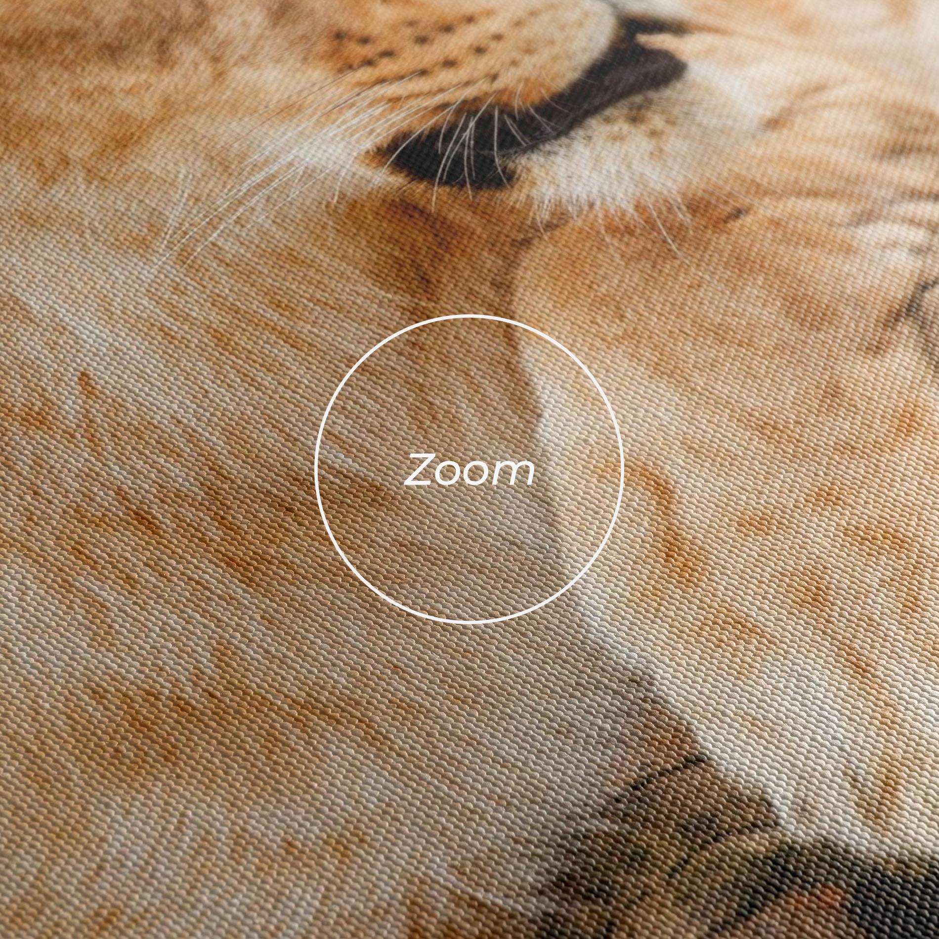 Leinwandbild Female Lion Sitting mockup 3