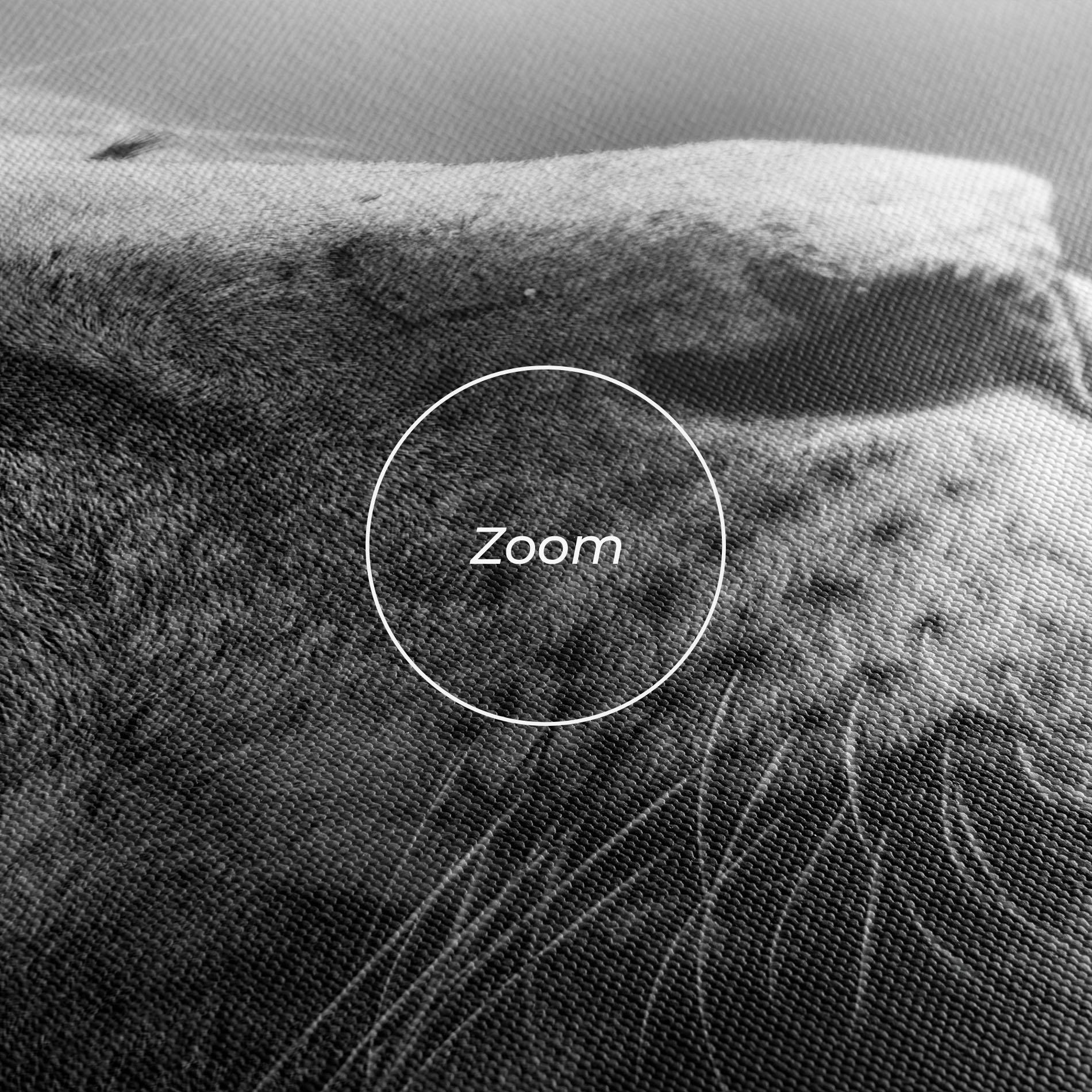 Leinwandbild Grey Lion Head mockup 3