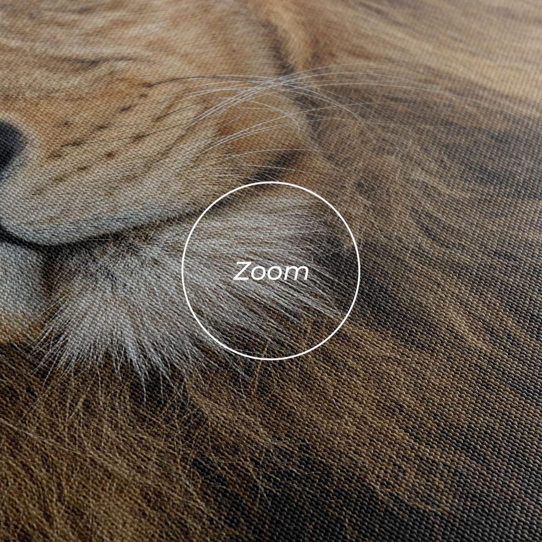 Leinwandbild Lion Chilling mockup 3