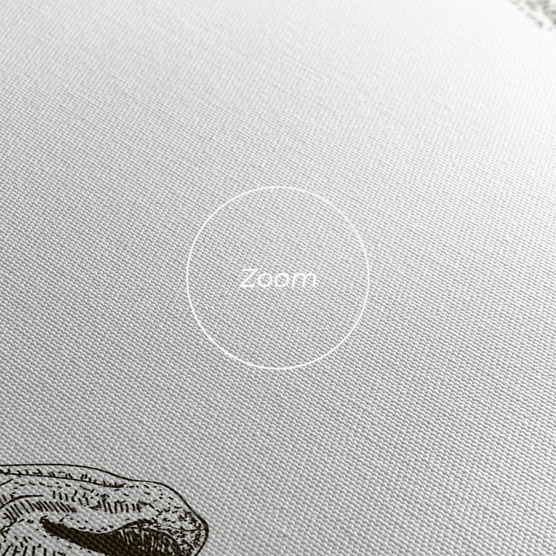 Lion For Text mockup 3