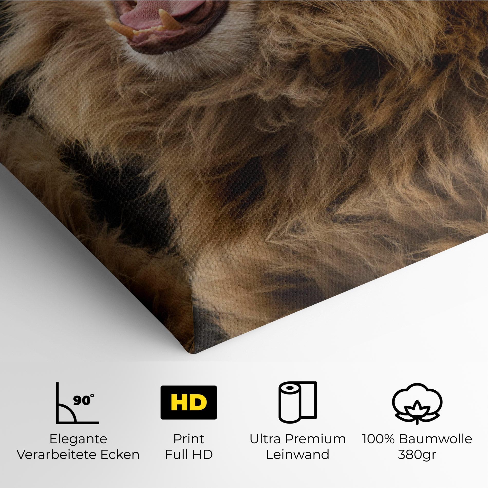 Leinwandbild Angry Lion mockup 4