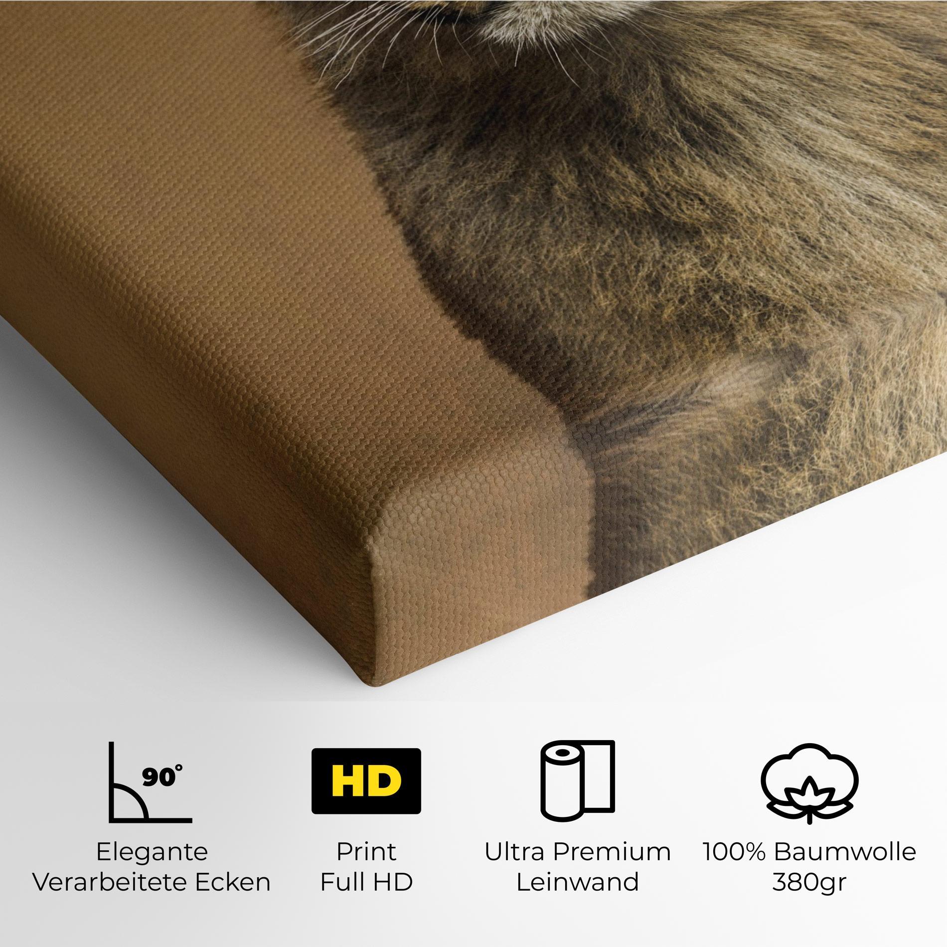 Leinwandbild Baby Lion mockup 4