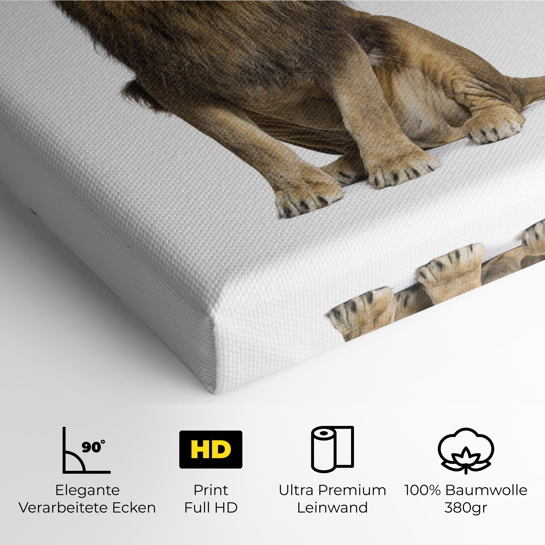 Leinwandbild Big Lion mockup 4