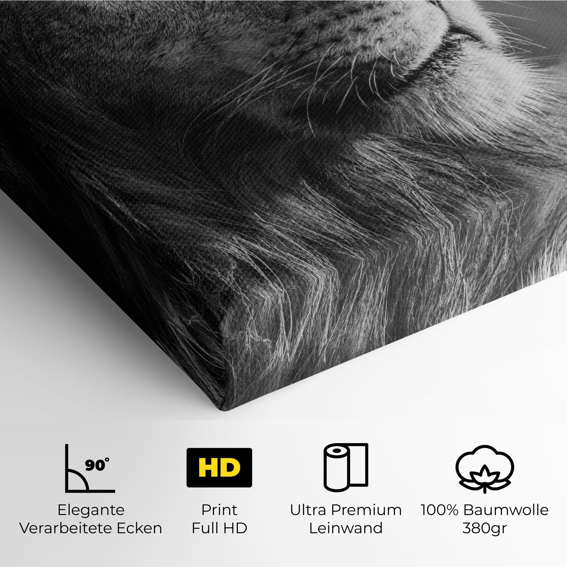 Leinwandbild Grey Lion Head mockup 4