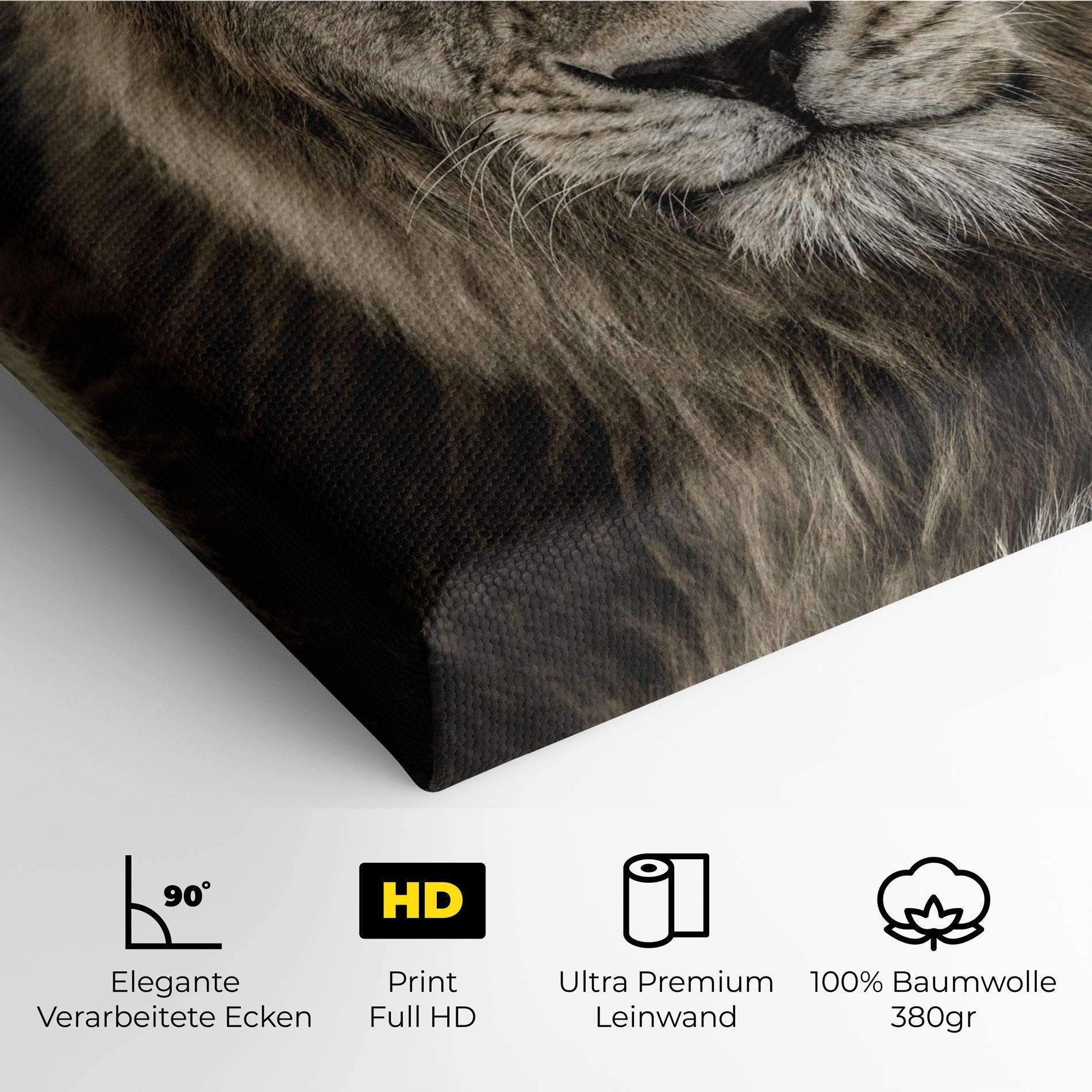 Leinwandbild Lion Close Up mockup 4
