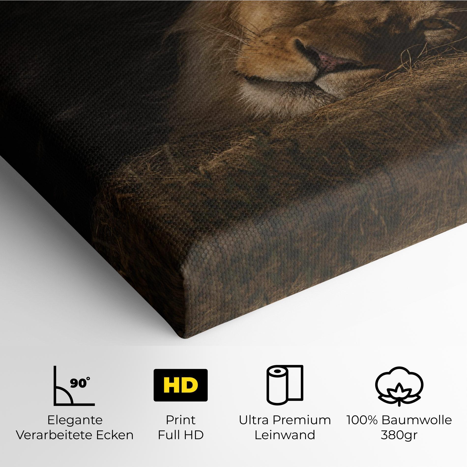 Leinwandbild Lion Laying Down mockup 4