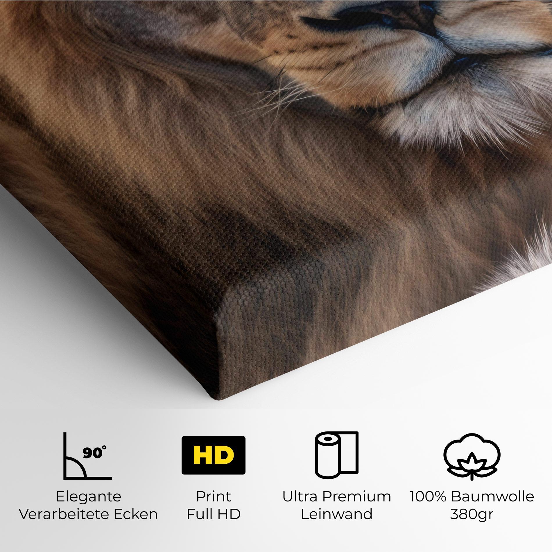 Leinwandbild Wild Lion View mockup 4