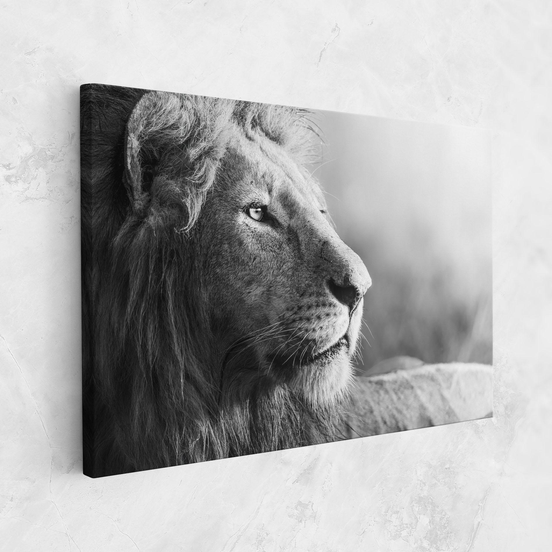 Leinwandbild Grey Lion Head mockup 1