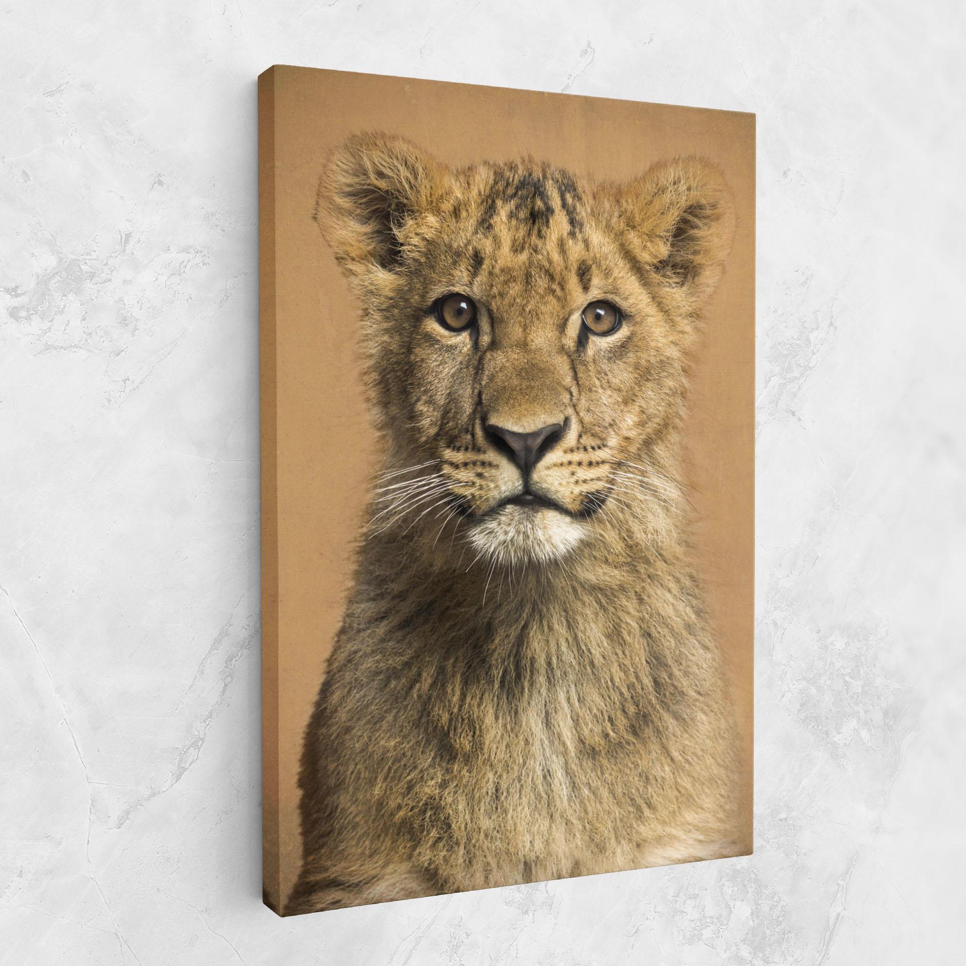 Leinwandbild Baby Lion mockup 1