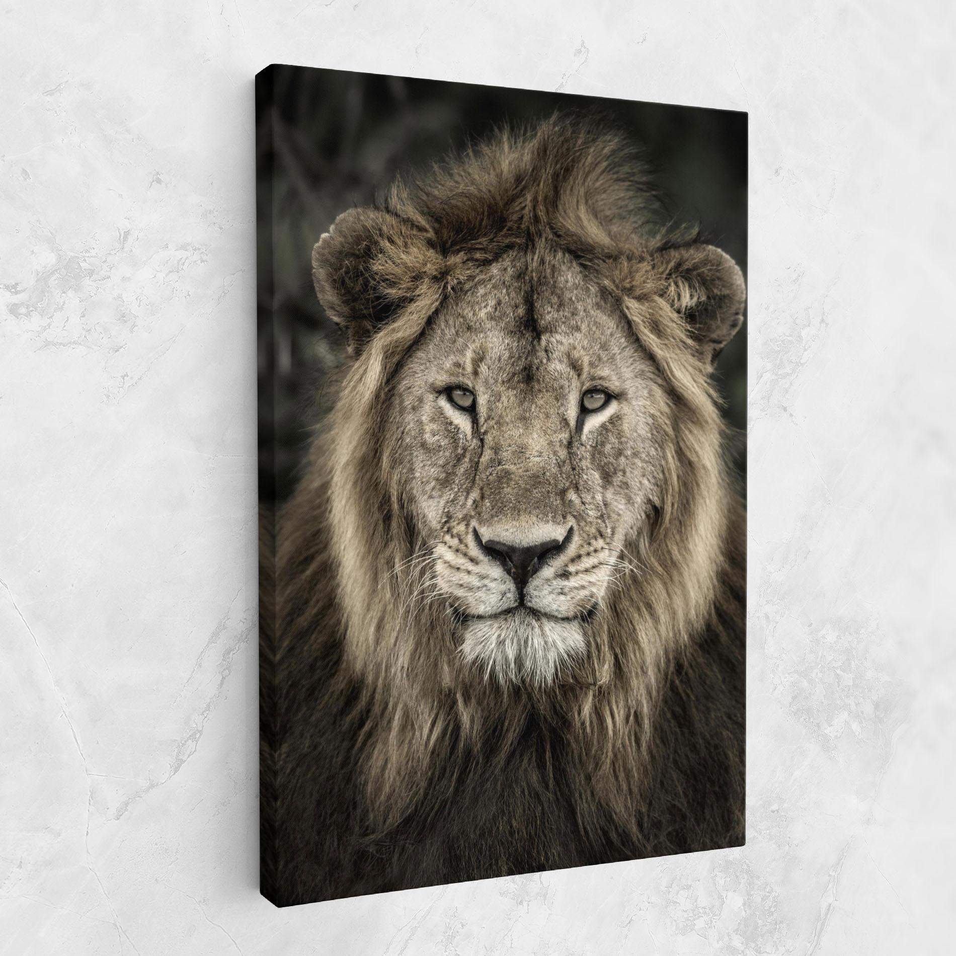 Leinwandbild Lion Close Up mockup 1