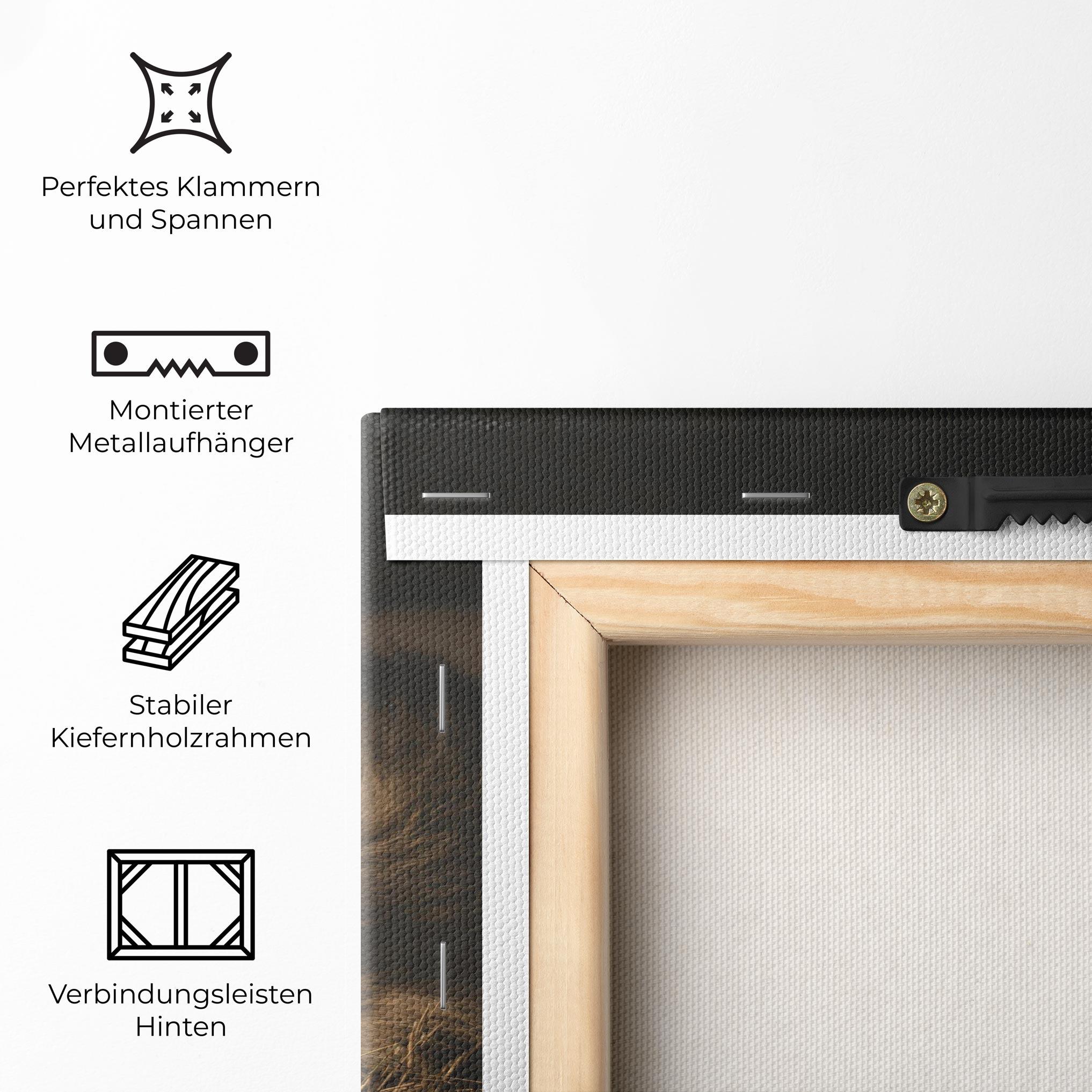 Leinwandbild Lion Laying Down mockup 5