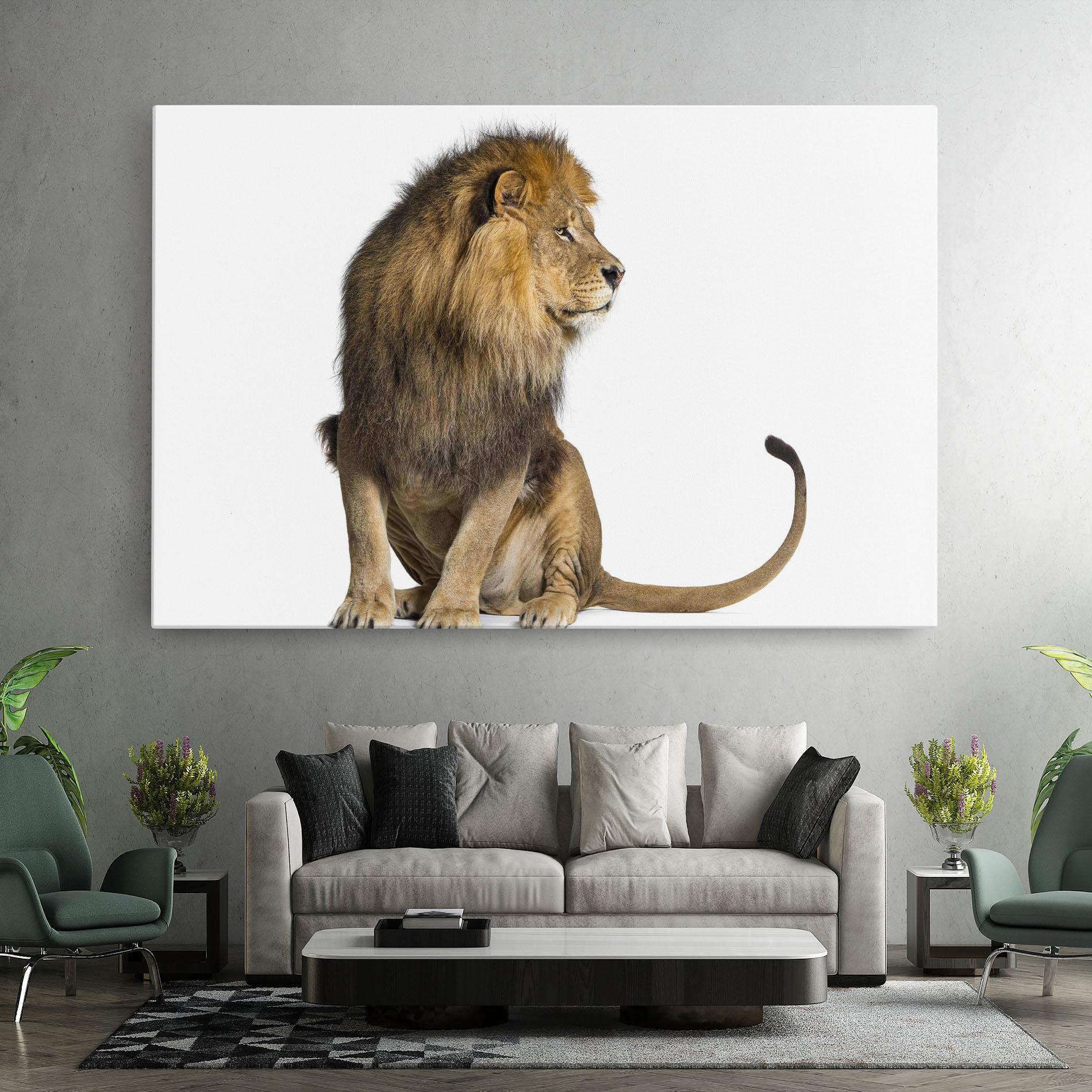 Leinwandbild Big Lion mockup 7