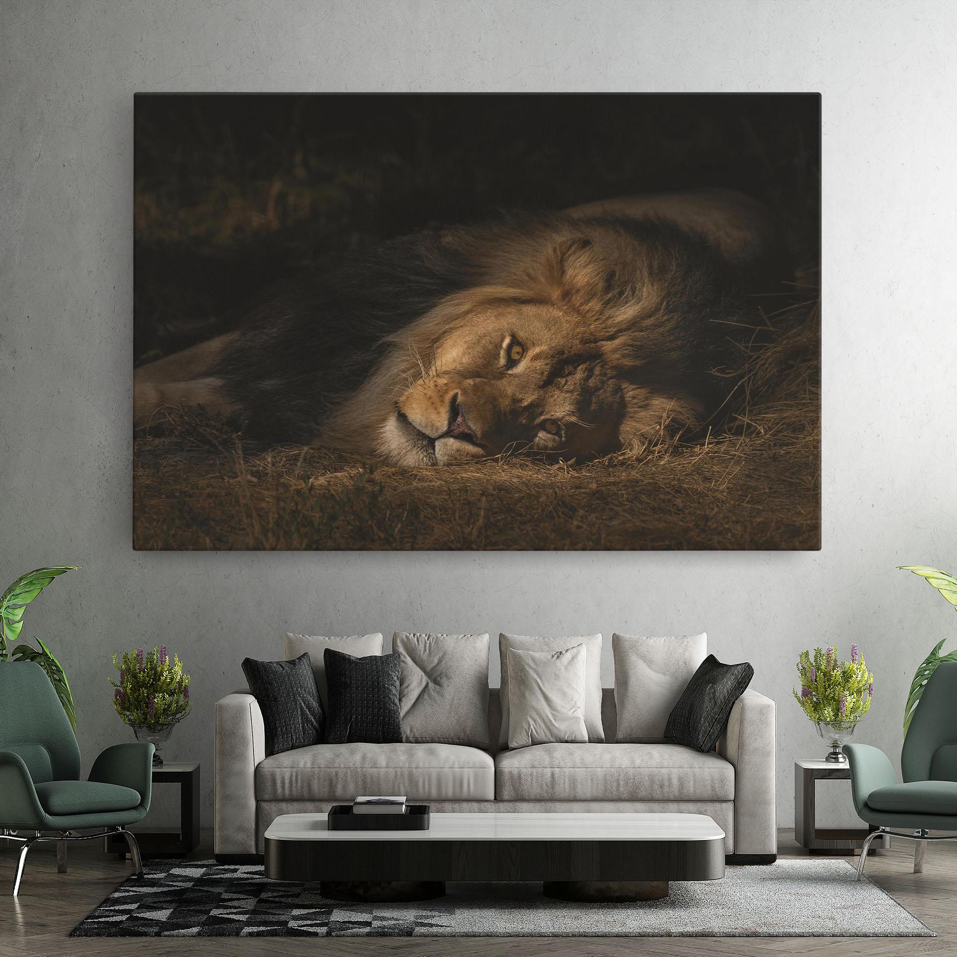Leinwandbild Lion Laying Down mockup 7