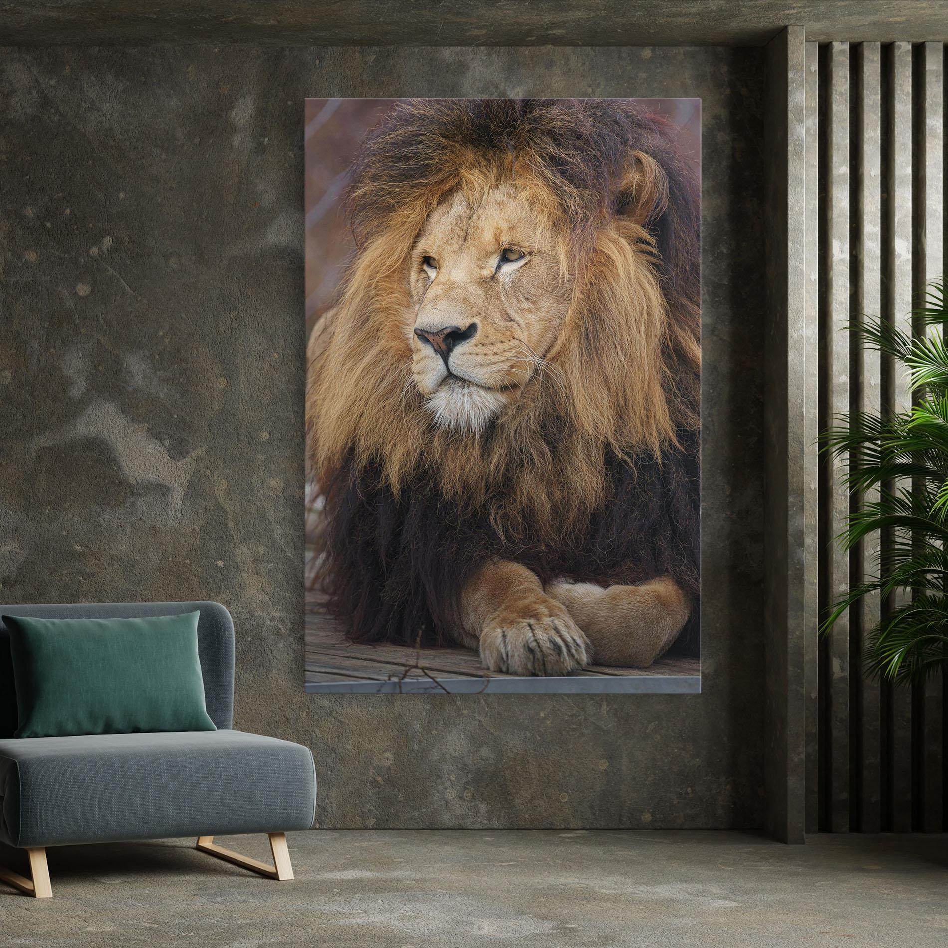 Leinwandbild Lion Chilling mockup 7