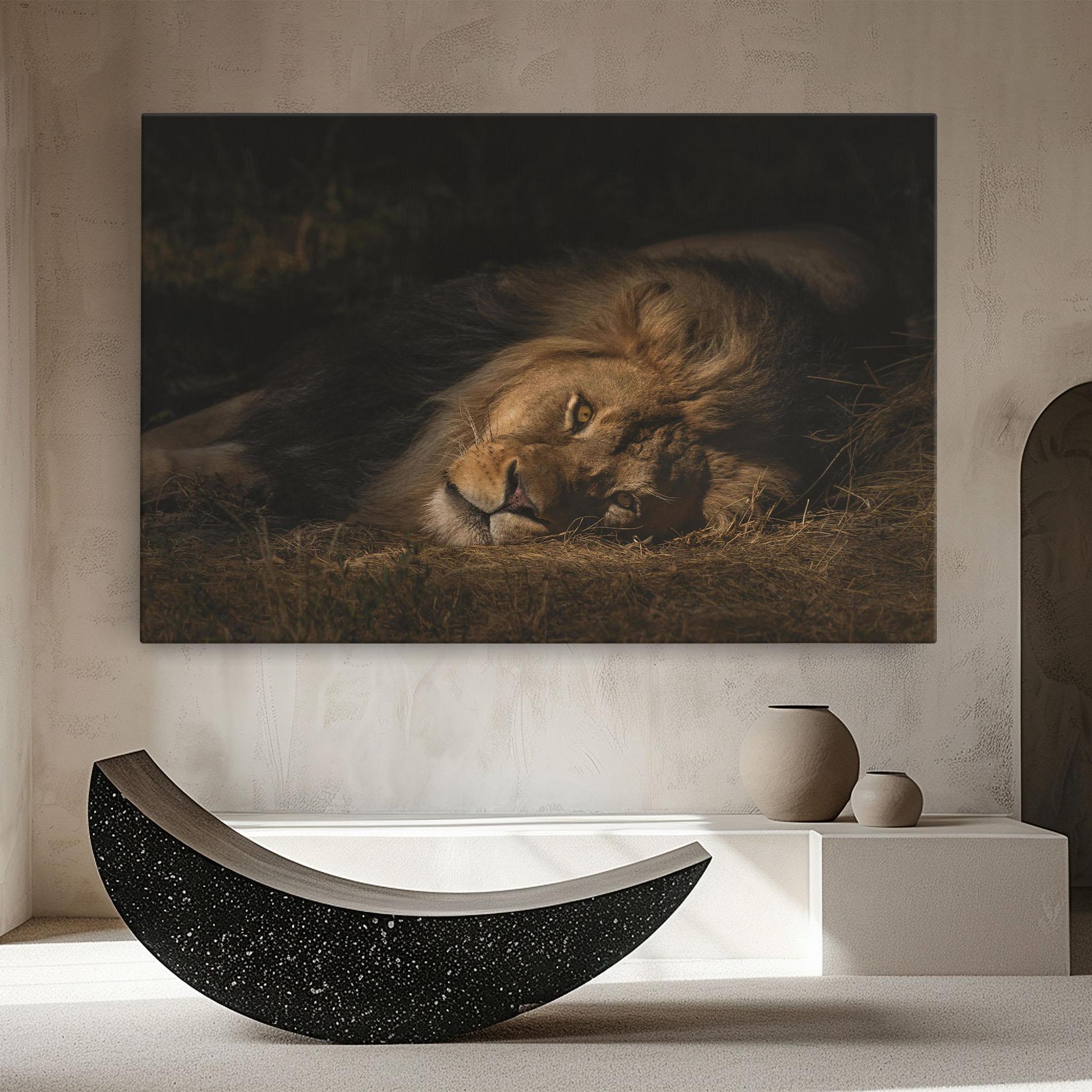 Leinwandbild Lion Laying Down mockup 8