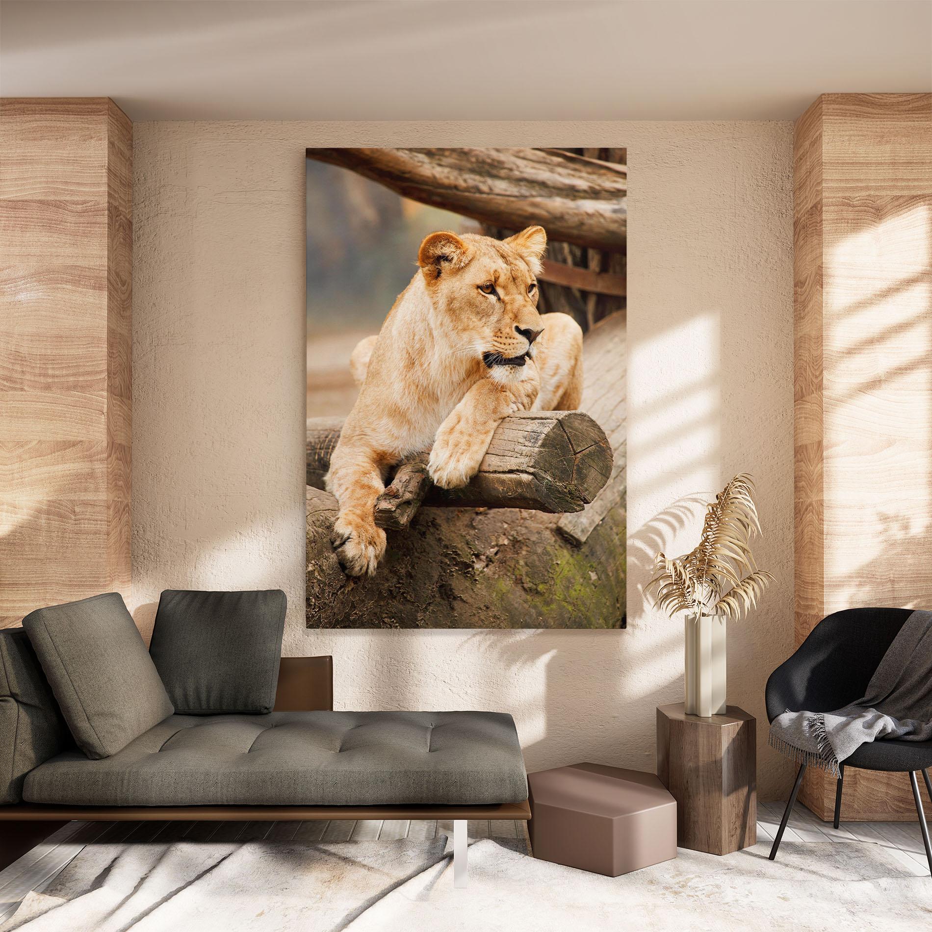 Leinwandbild Female Lion Sitting mockup 8