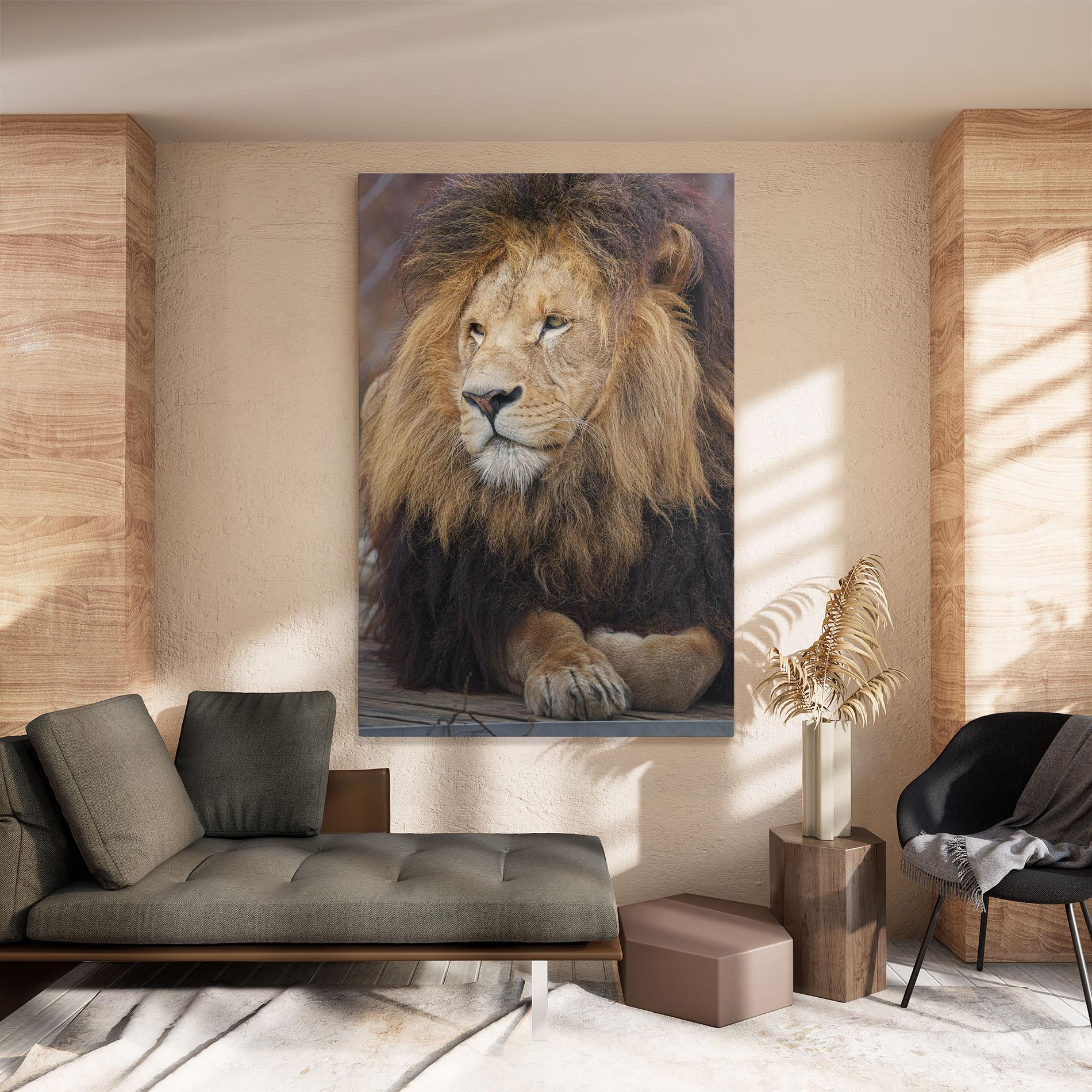 Leinwandbild Lion Chilling mockup 8