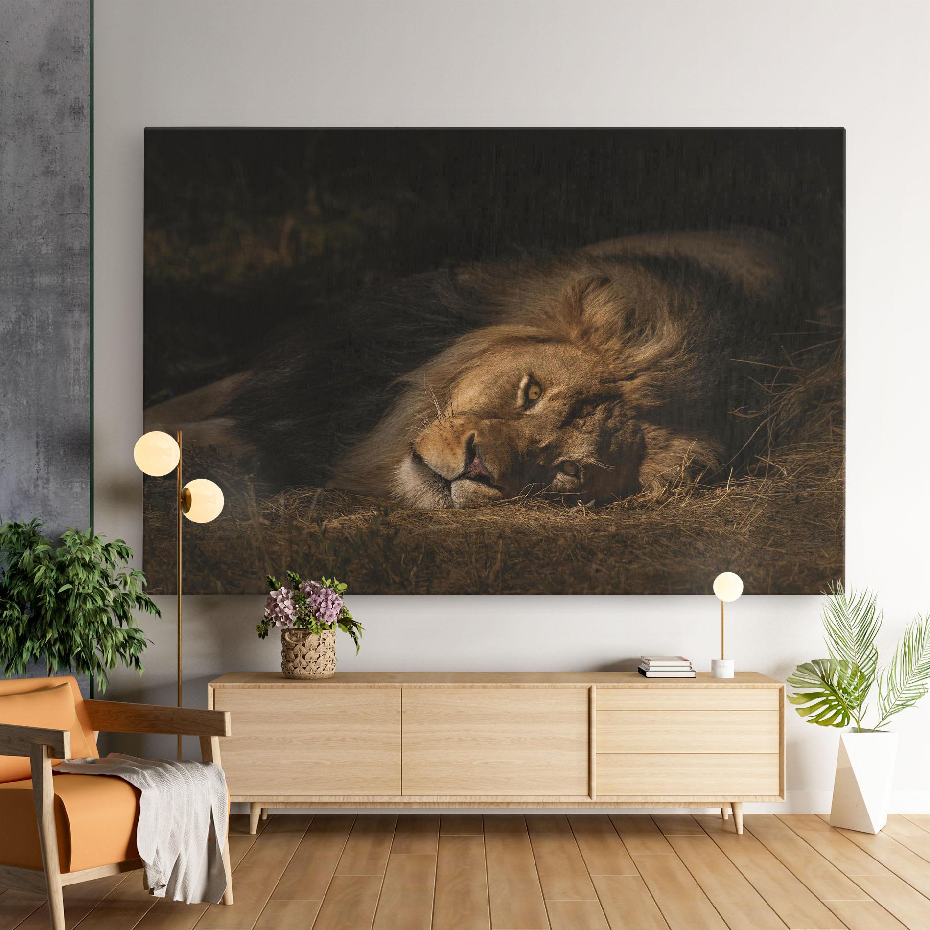 Leinwandbild Lion Laying Down mockup 9