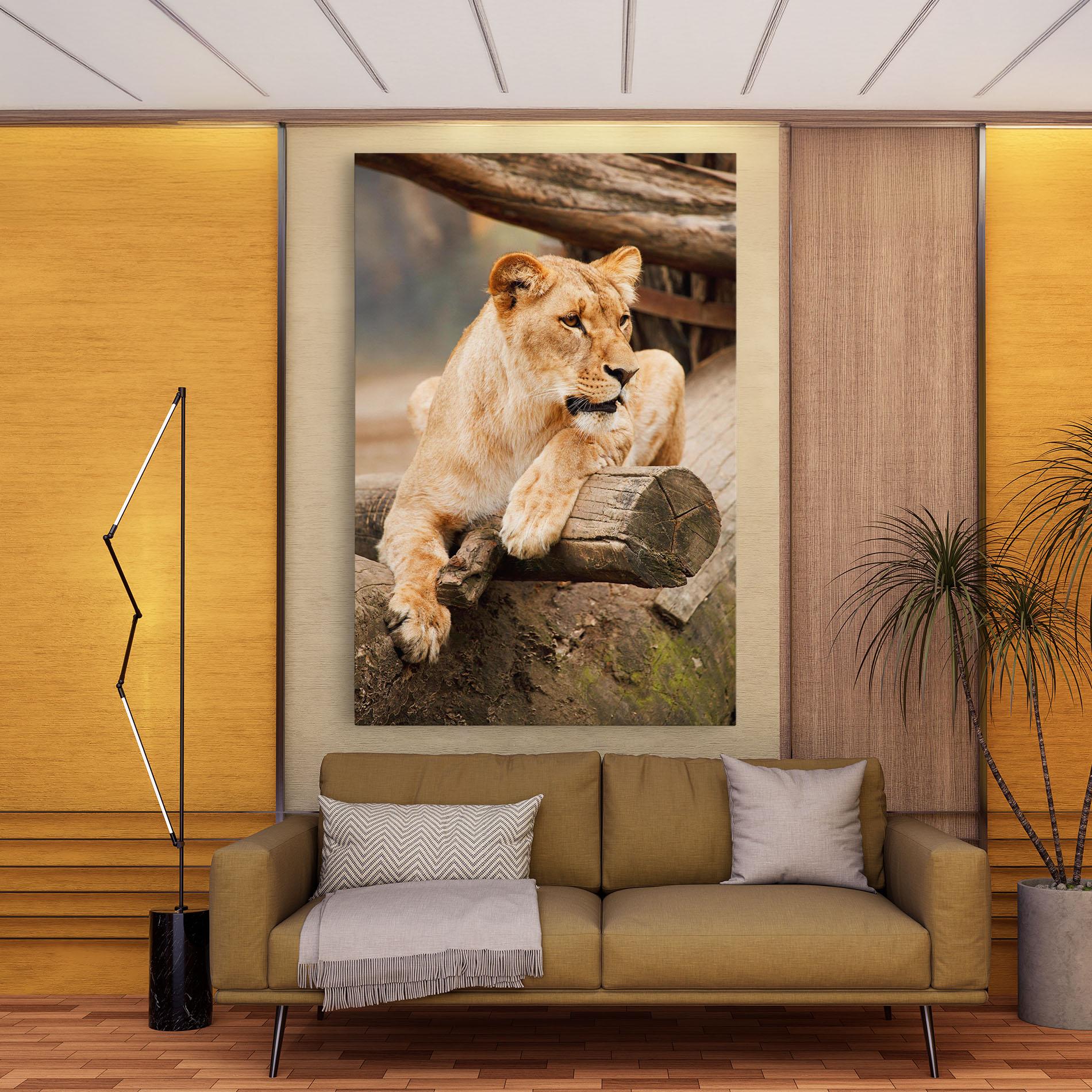 Leinwandbild Female Lion Sitting mockup 9
