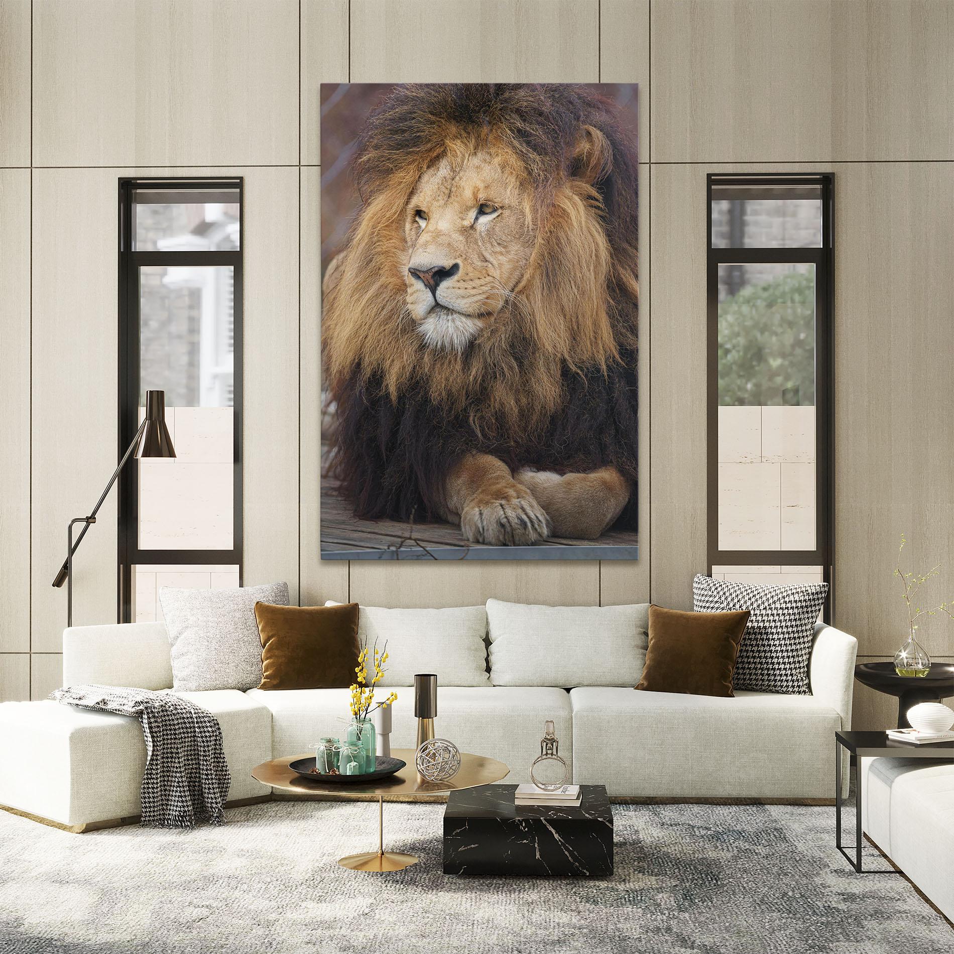 Leinwandbild Lion Chilling mockup 2
