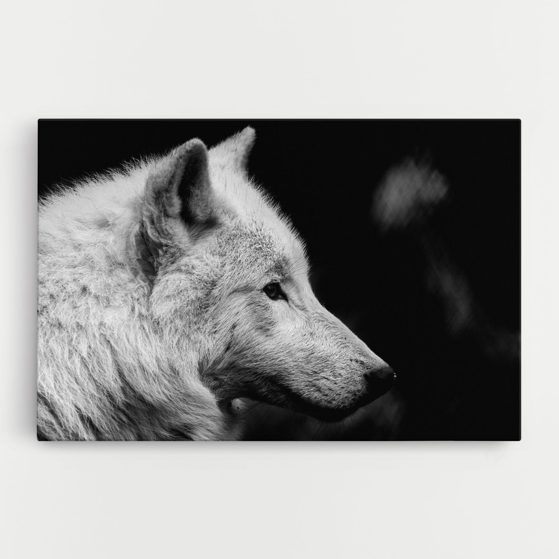 Leinwandbild Grey Wolf mockup 0