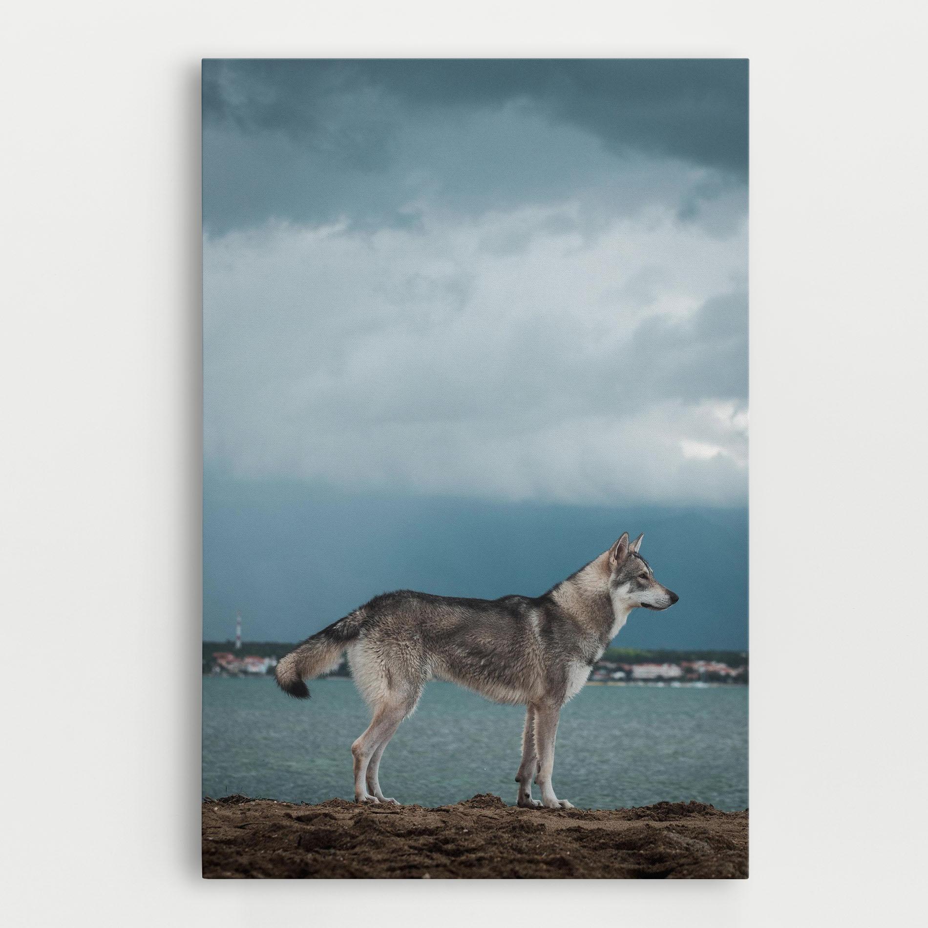 Leinwandbild Grey Wolf Looking mockup 0