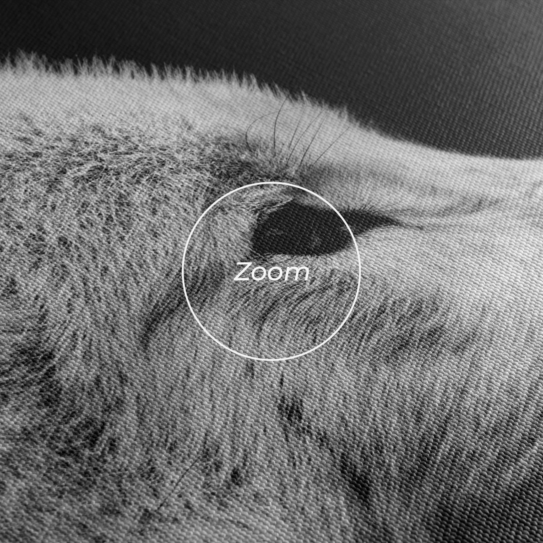 Leinwandbild Grey Wolf mockup 3