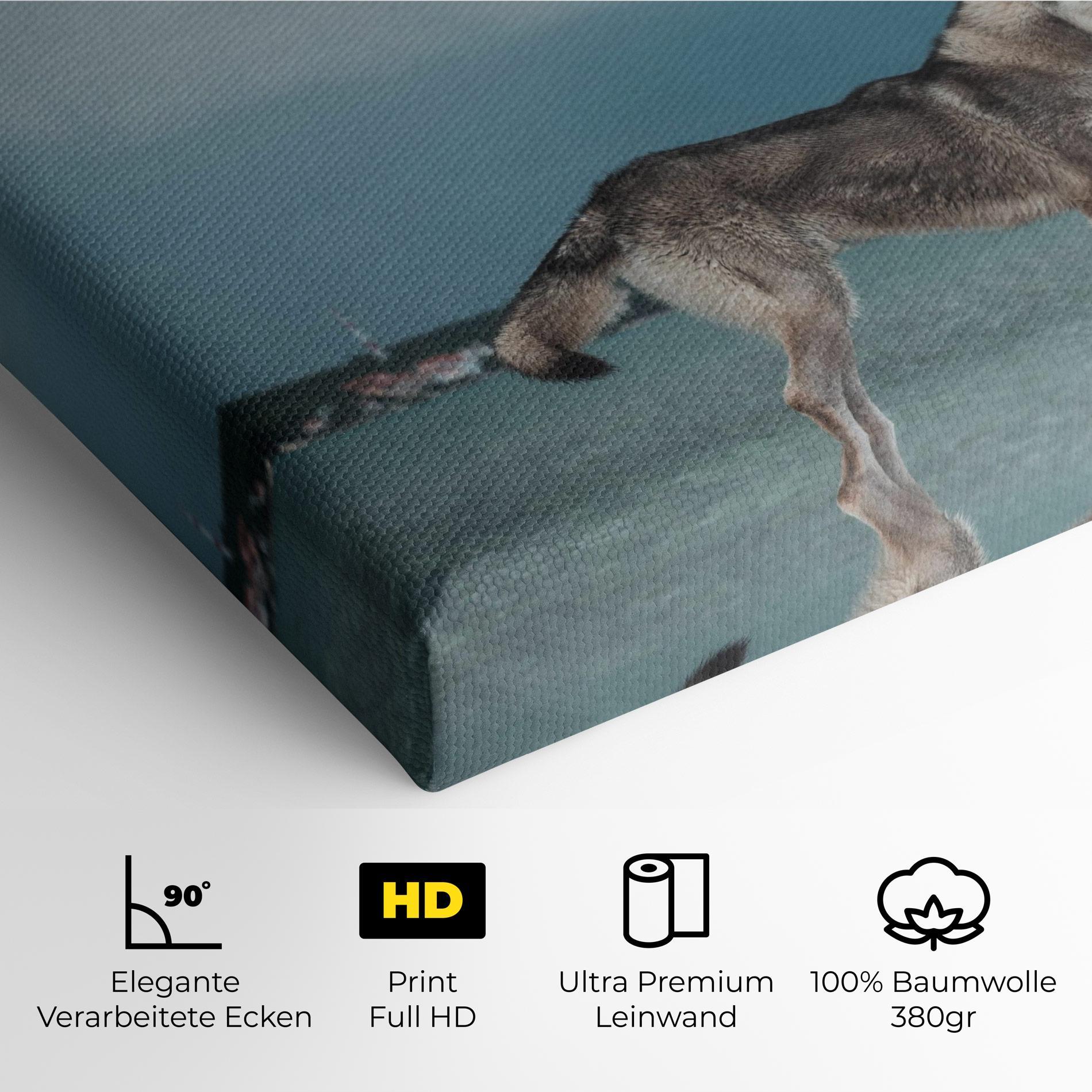 Leinwandbild Grey Wolf Looking mockup 4