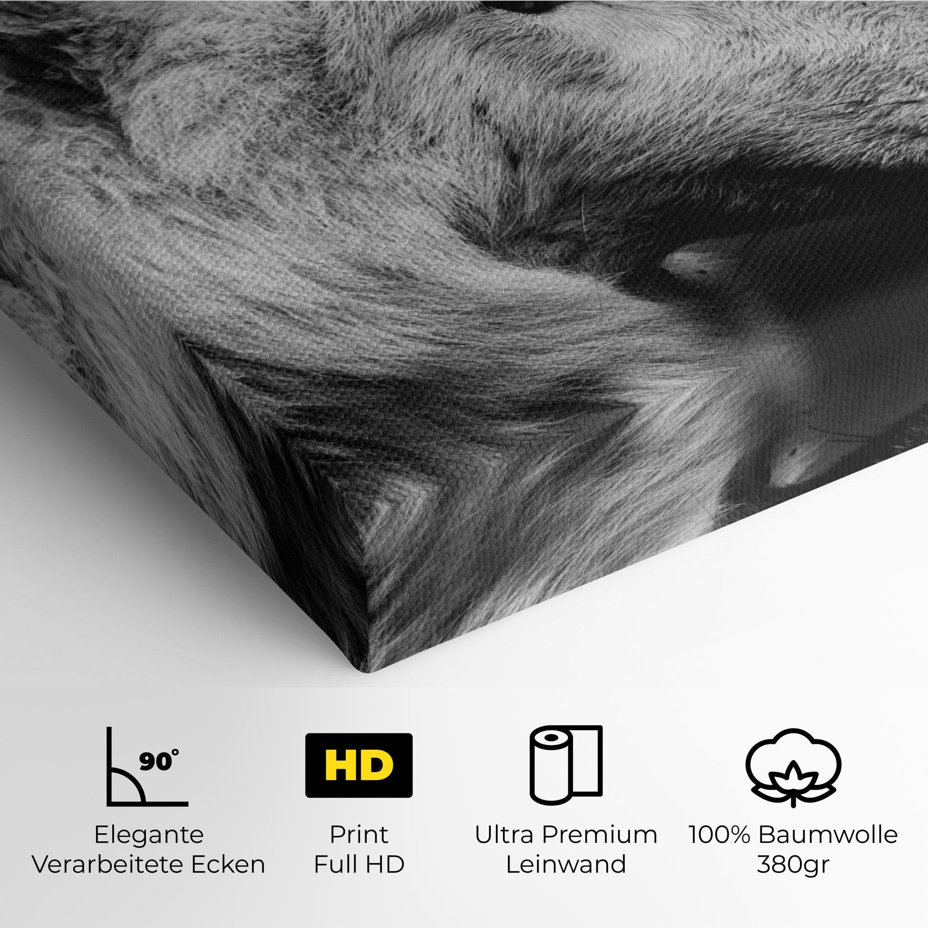 Leinwandbild Grey Wolf mockup 4