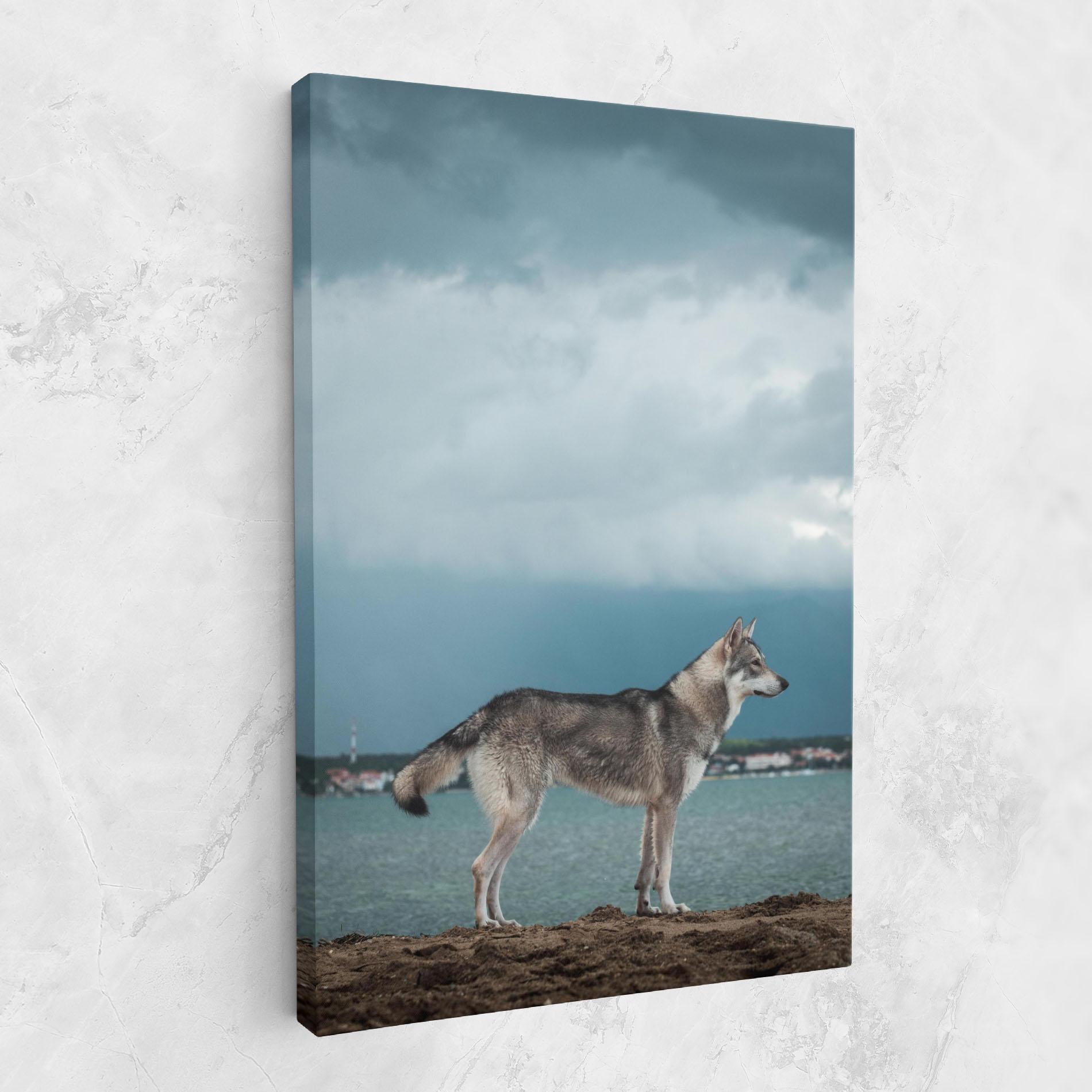 Leinwandbild Grey Wolf Looking mockup 1