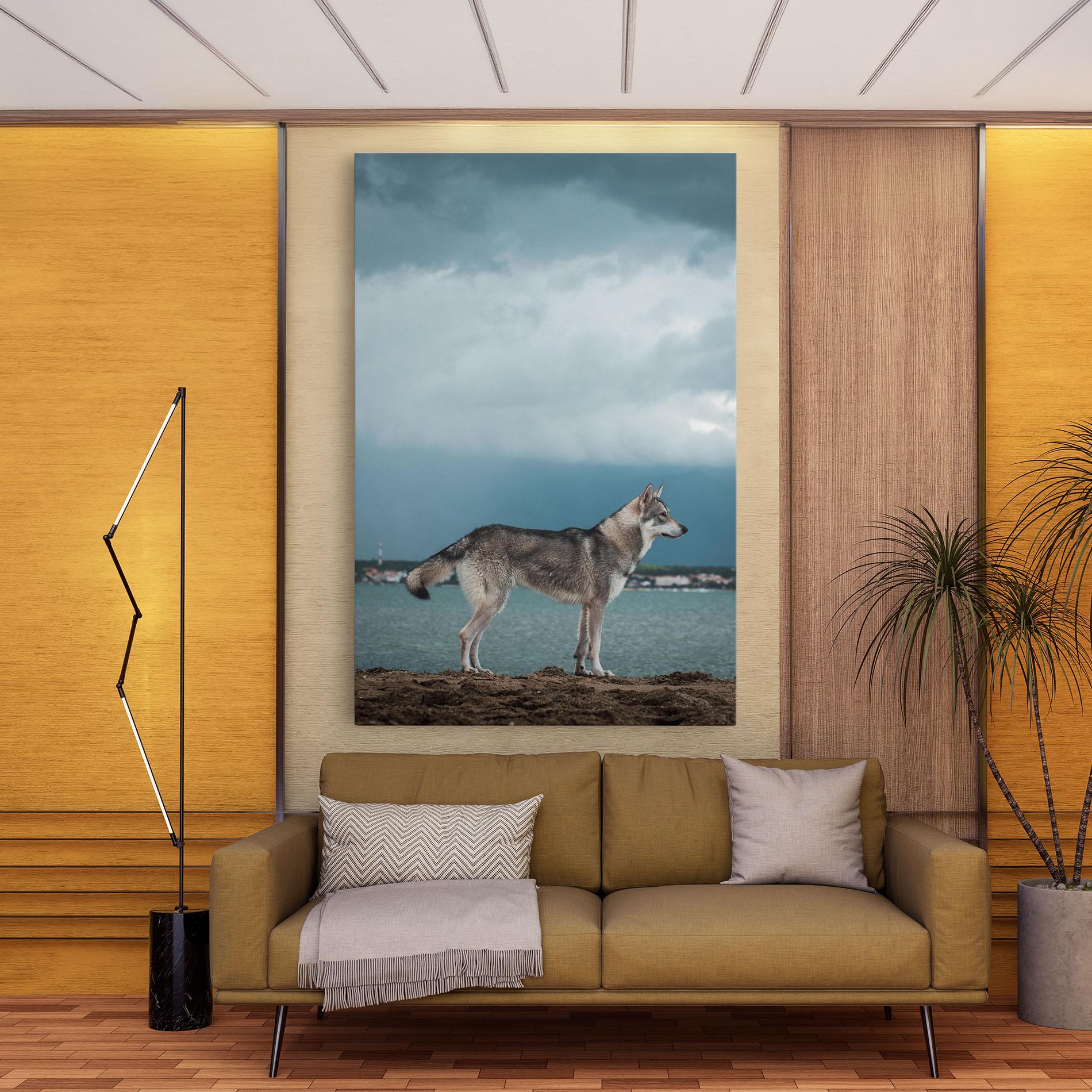Leinwandbild Grey Wolf Looking mockup 9