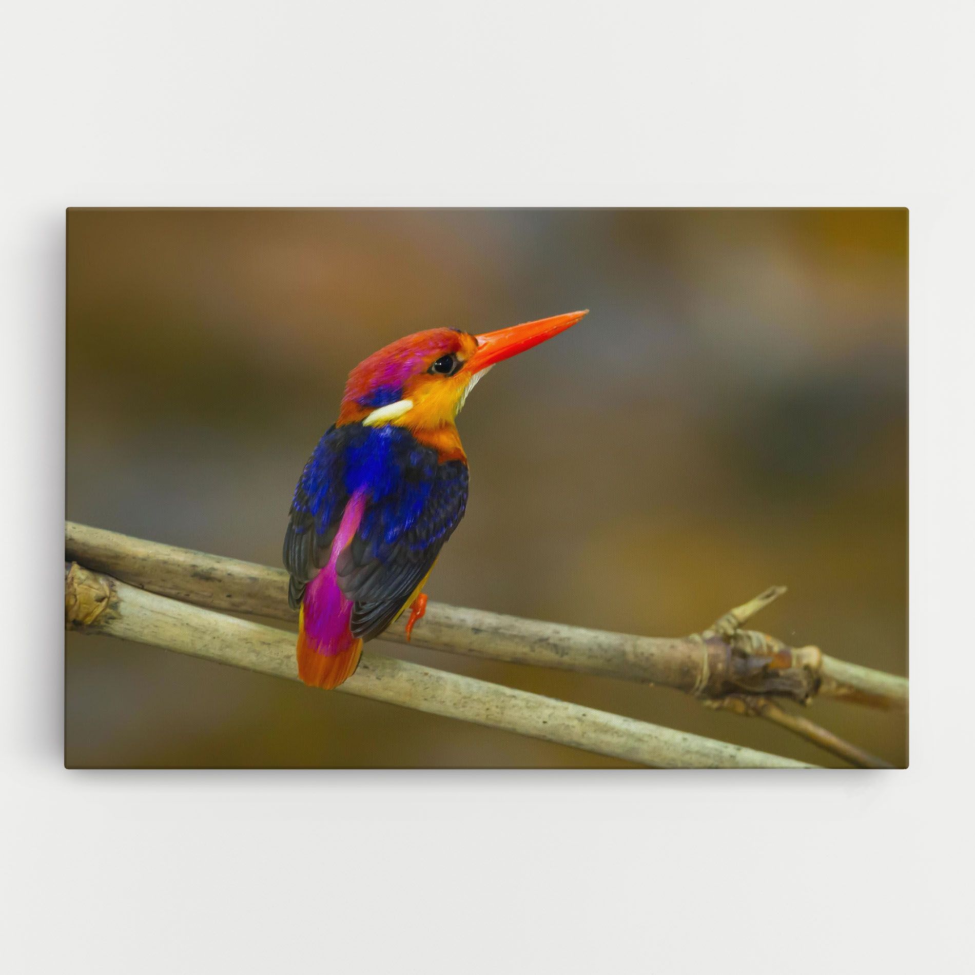 Colorful Bird mockup 0