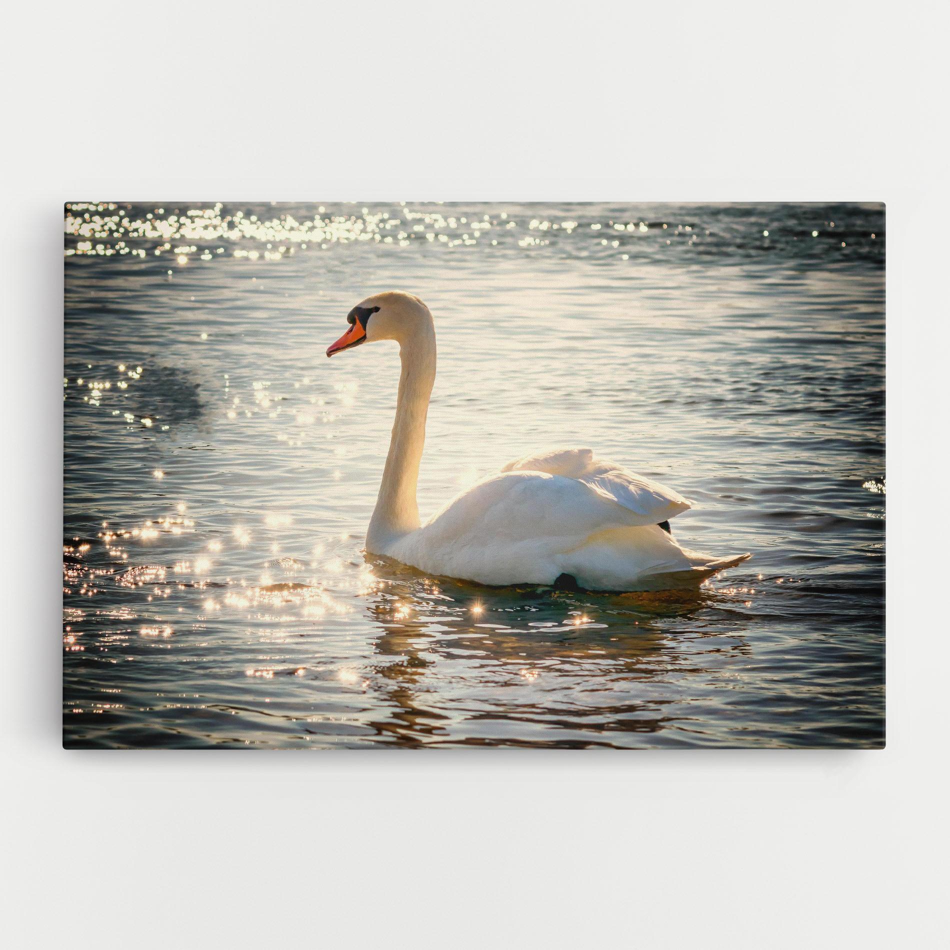 Leinwandbild Swan On Lake mockup 0