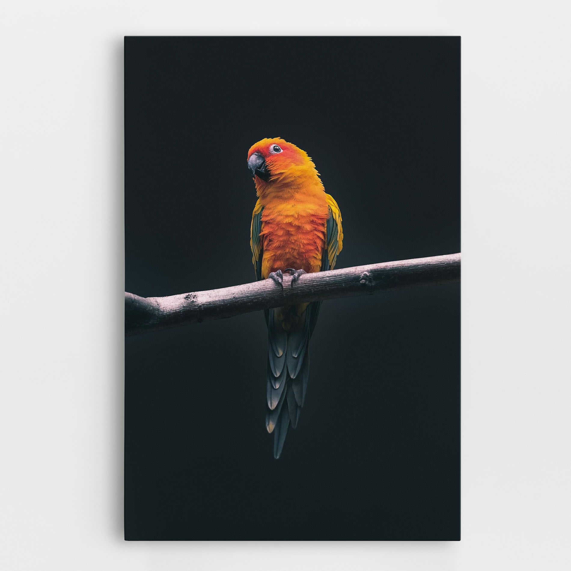 Fire Parrot mockup 0