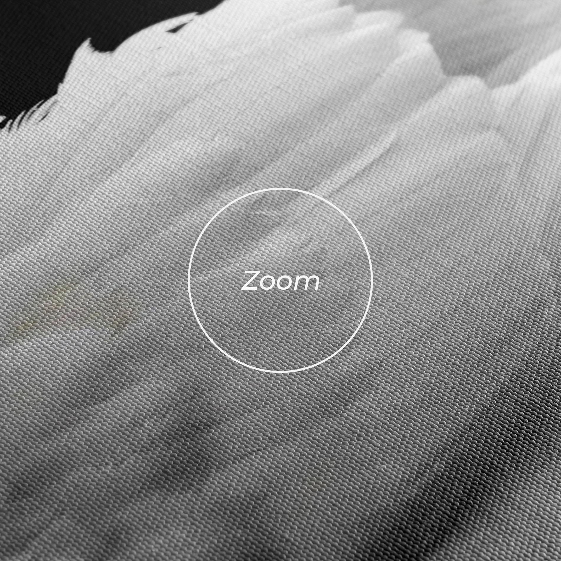 Leinwandbild Black And White Swan mockup 3