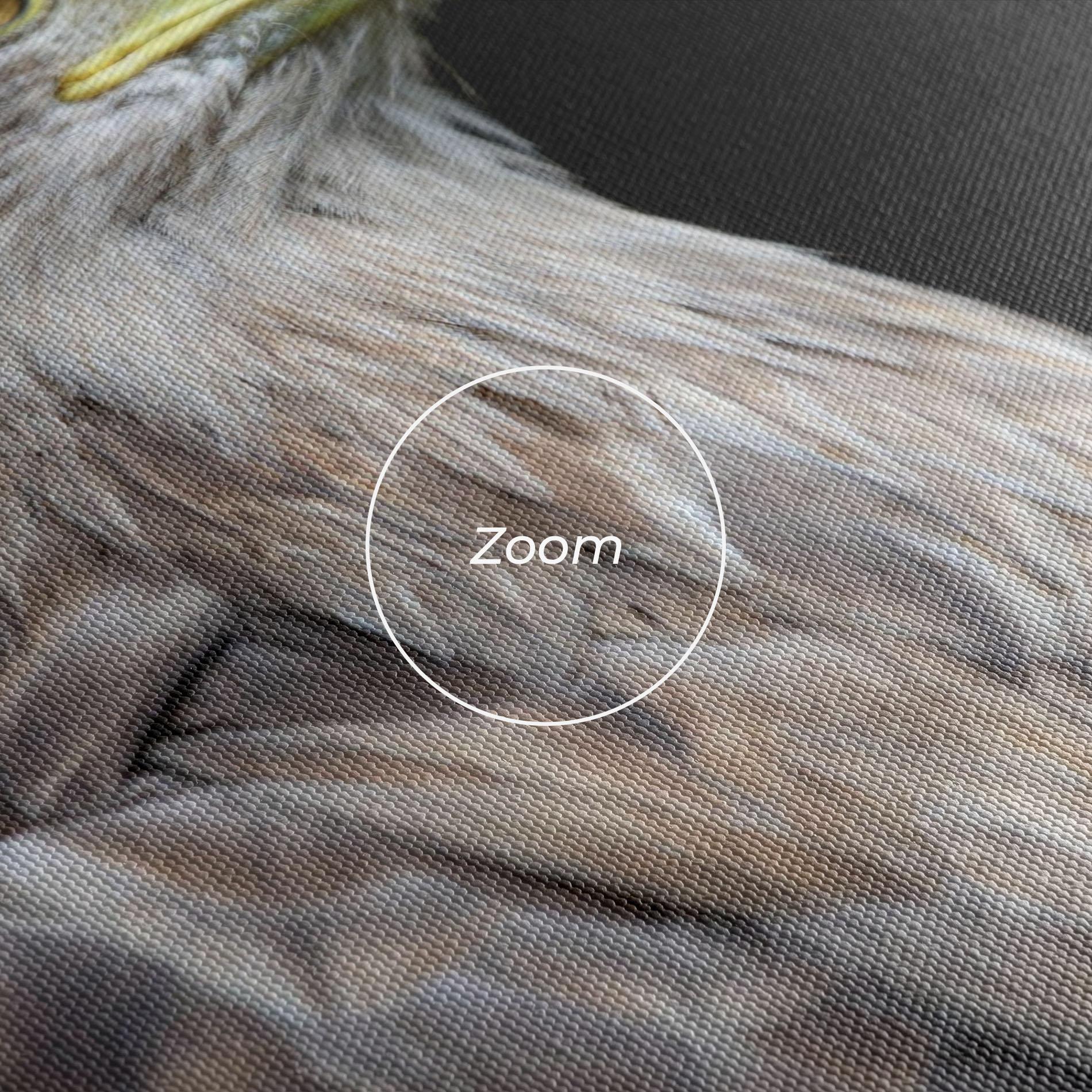 Leinwandbild Close Up Eagle mockup 3