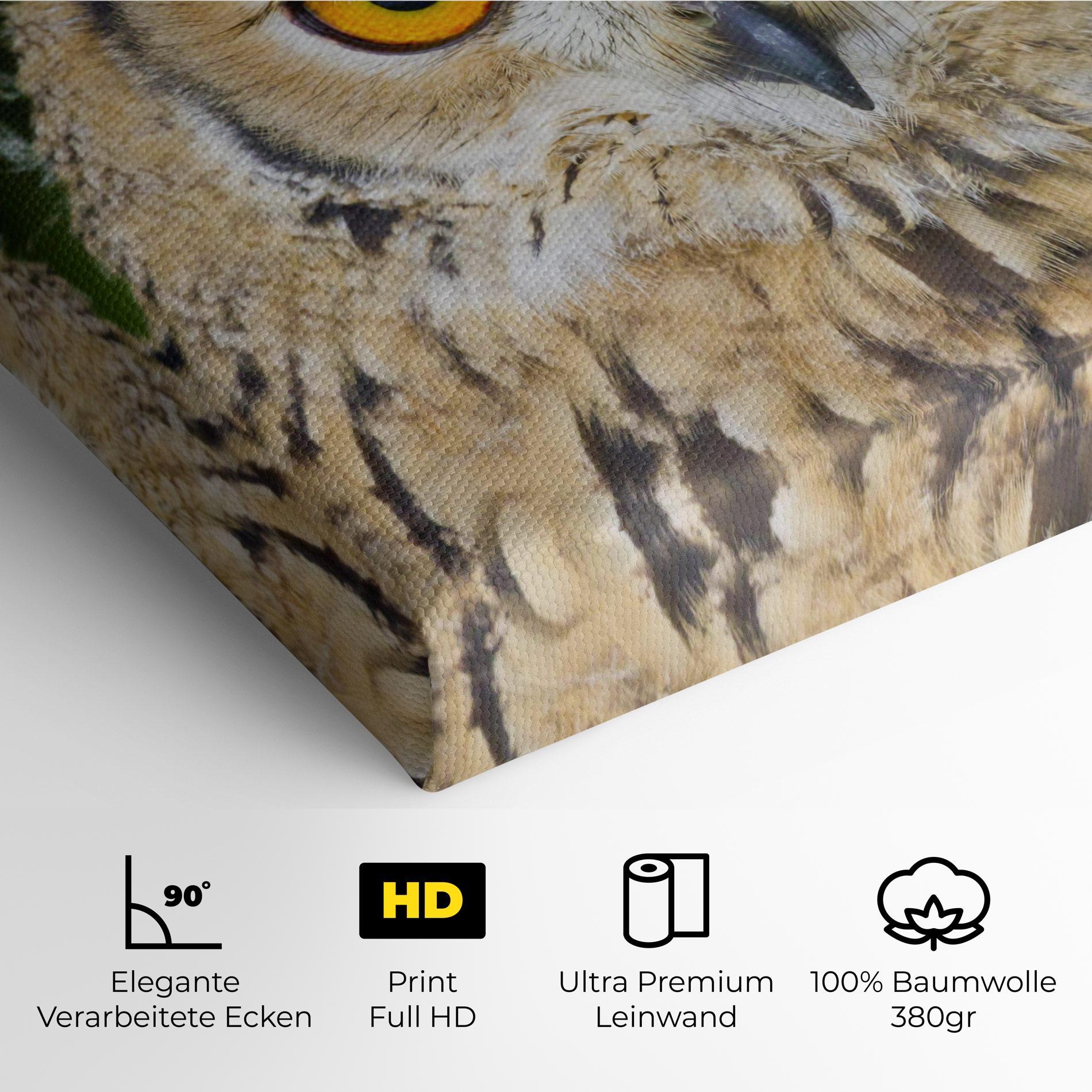 Leinwandbild Angry Owl mockup 4