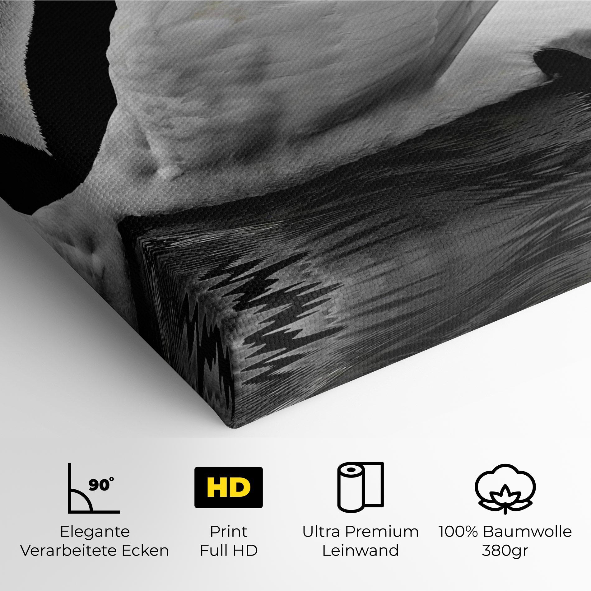 Leinwandbild Black And White Swan mockup 4